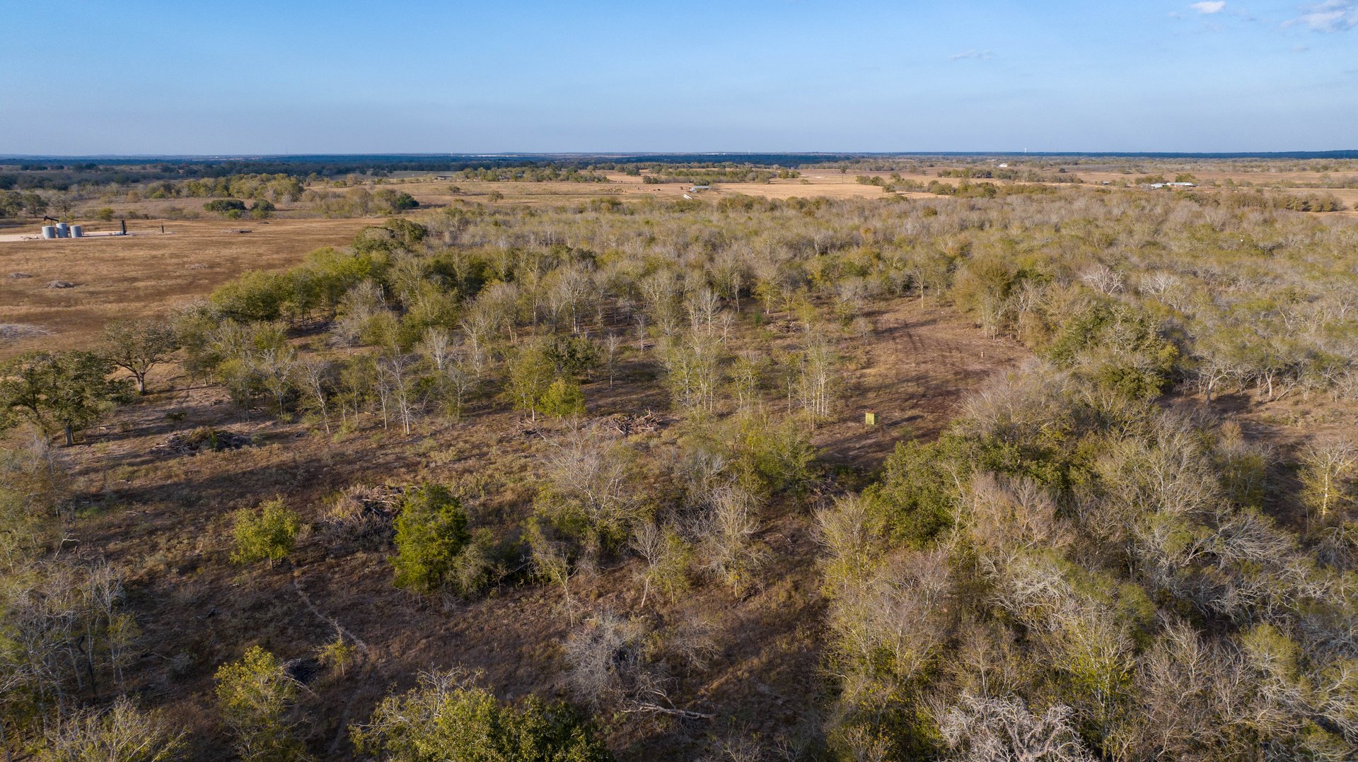 Gonzales County | 104+/- Acres