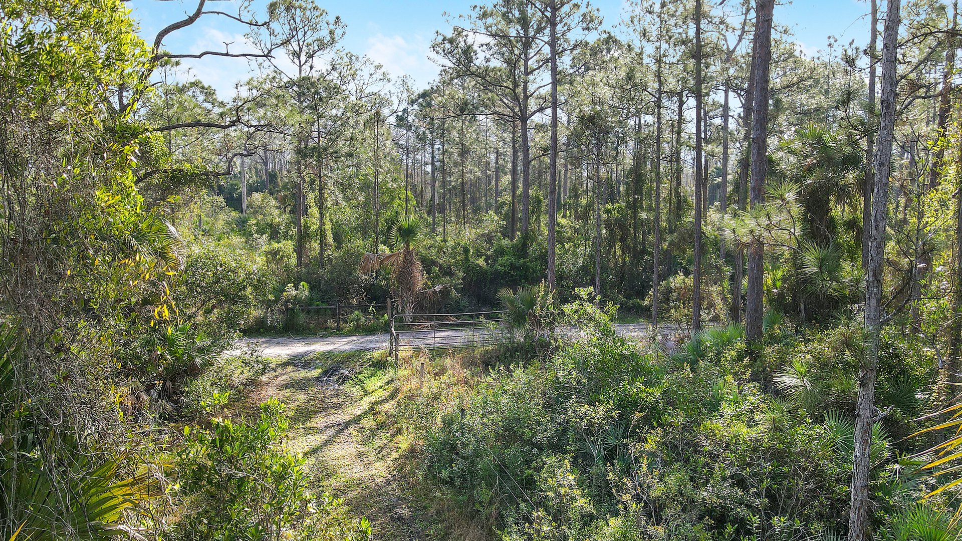 Countyline Ranch