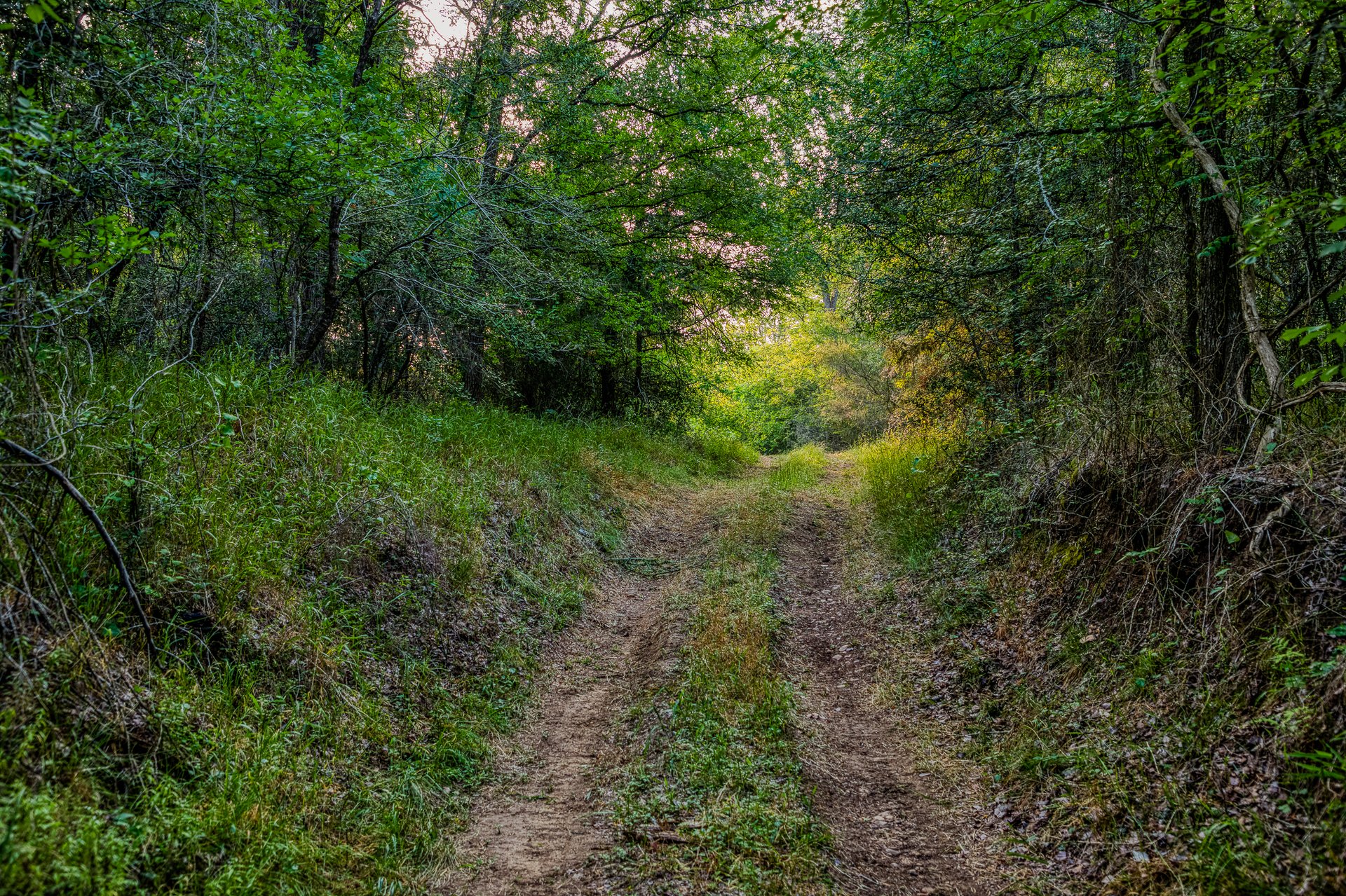 Revival Ranch TX