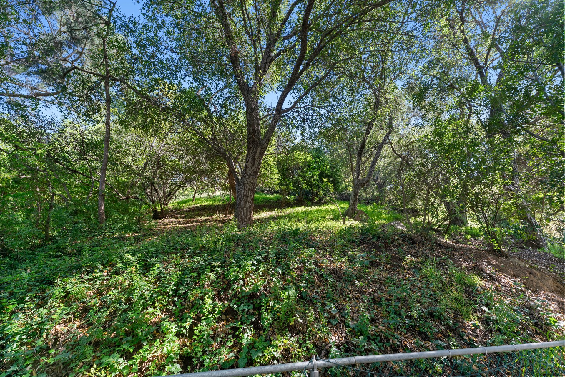 2310 Stanley Hills
