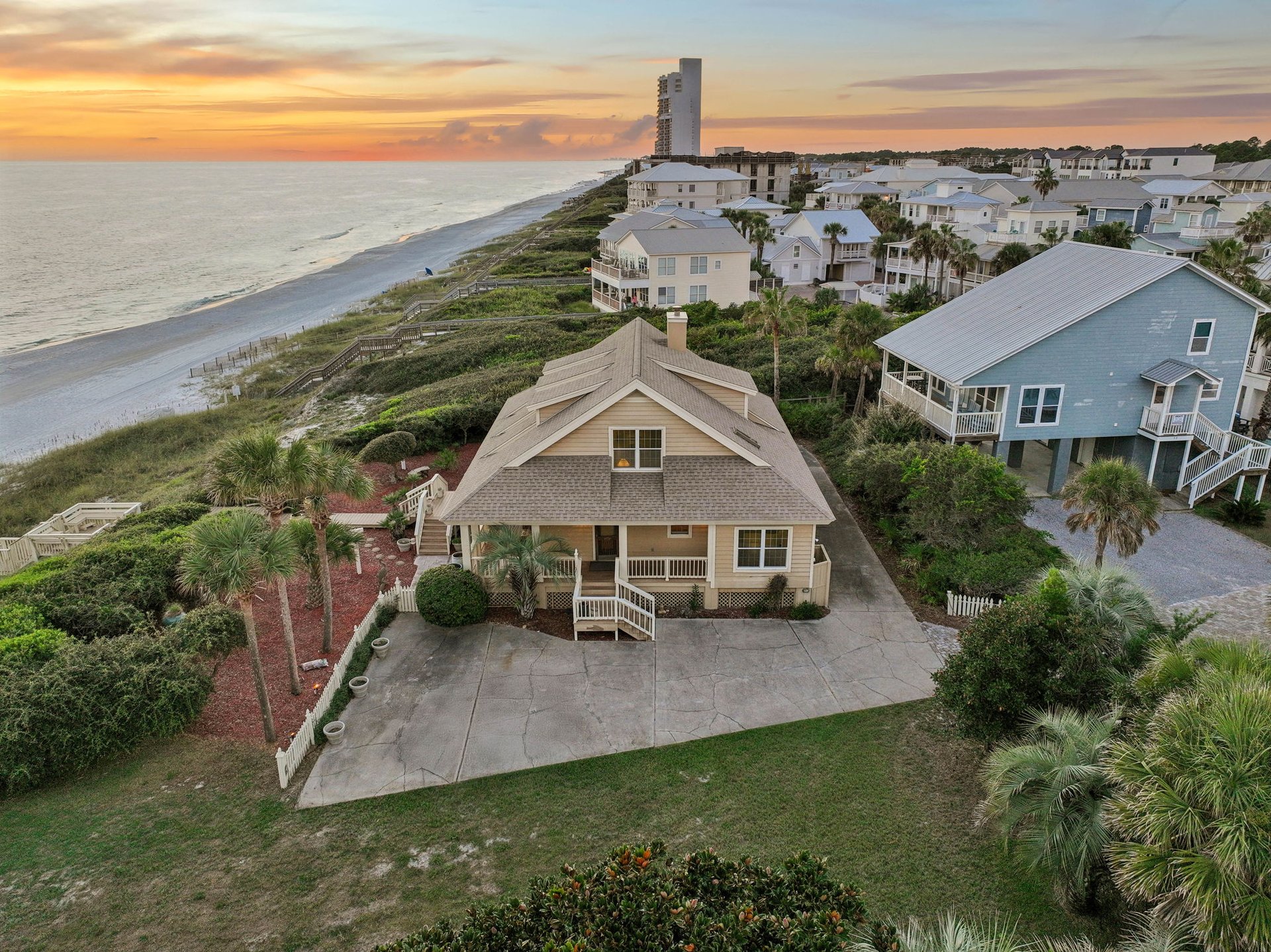Three Palms