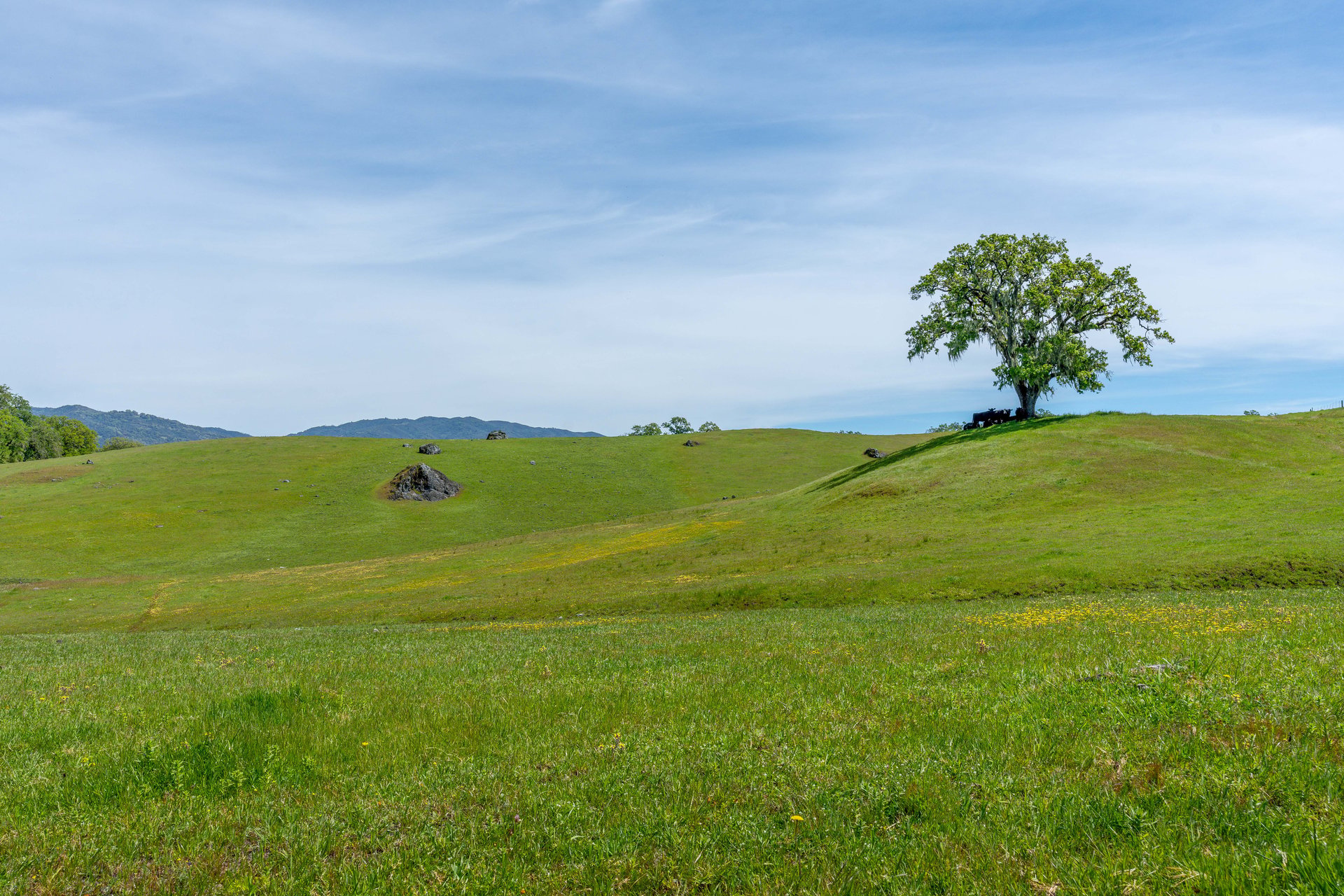 The Hopland Hills Ranch