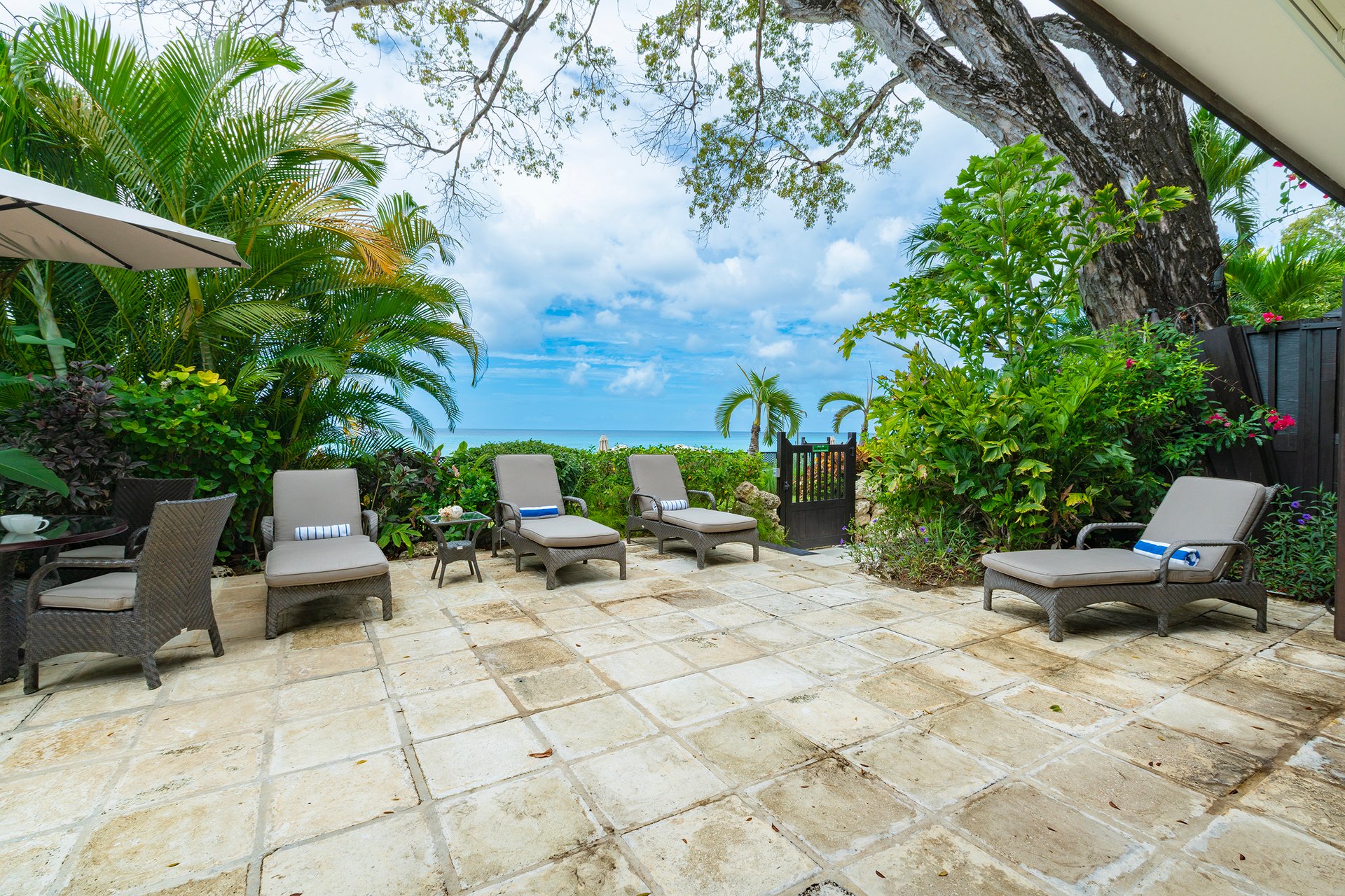 Coral Cove One