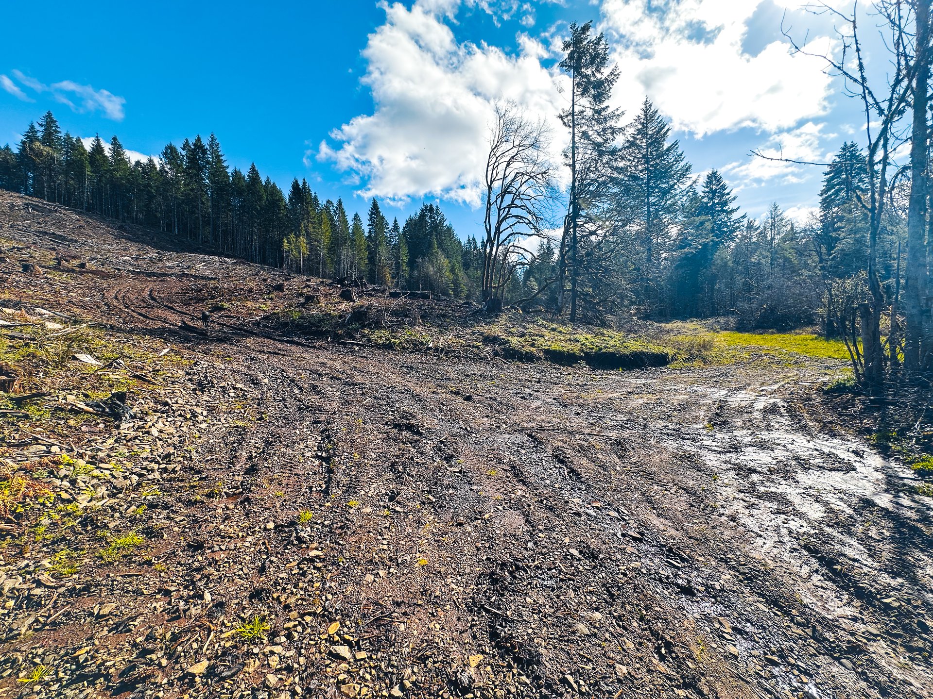 Sharewater Homesite