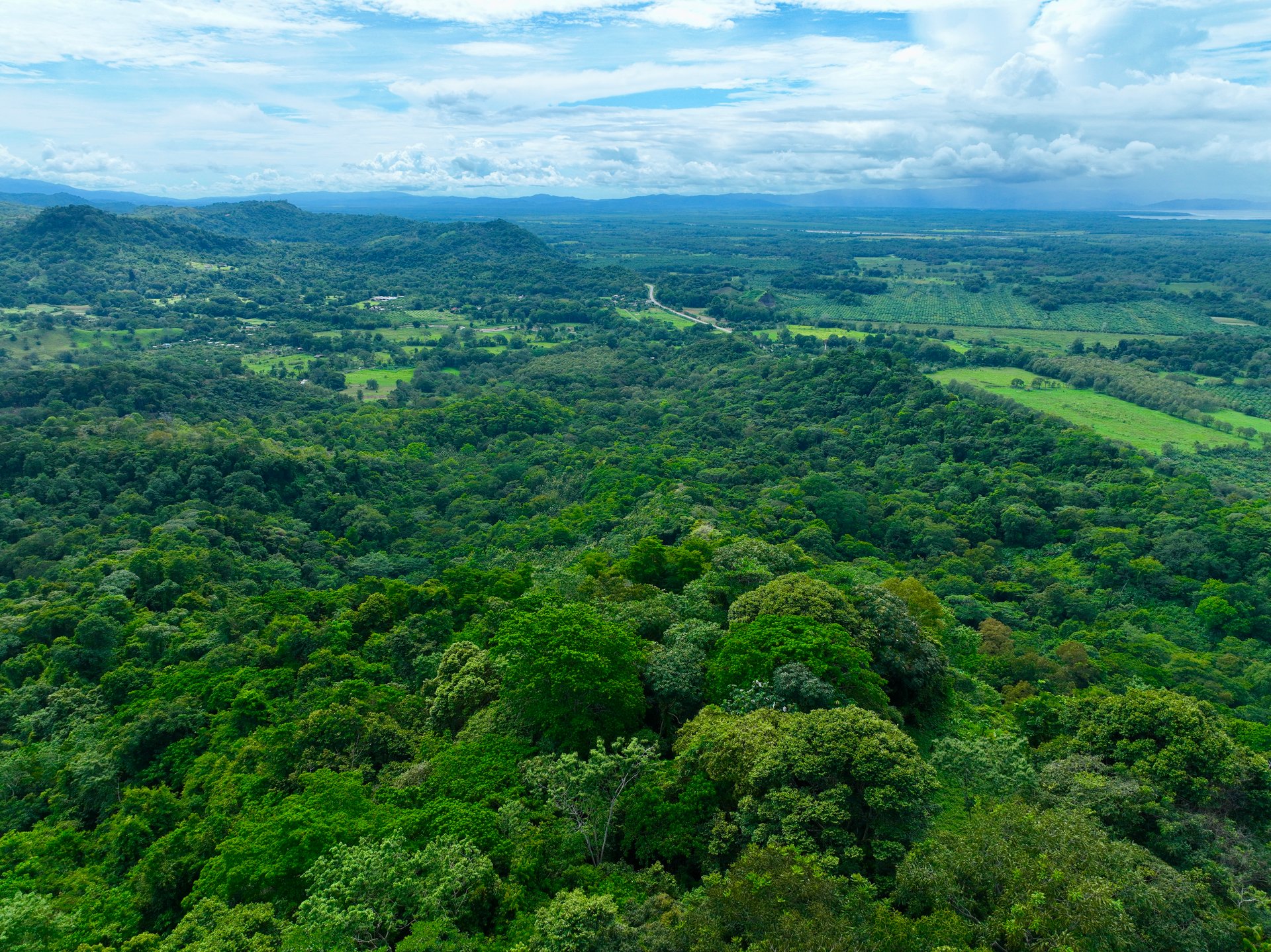 TROPICAL MASTERPIECE – 61.78 ACRES OF OCEANVIEW BLISS WITH WATERFALL