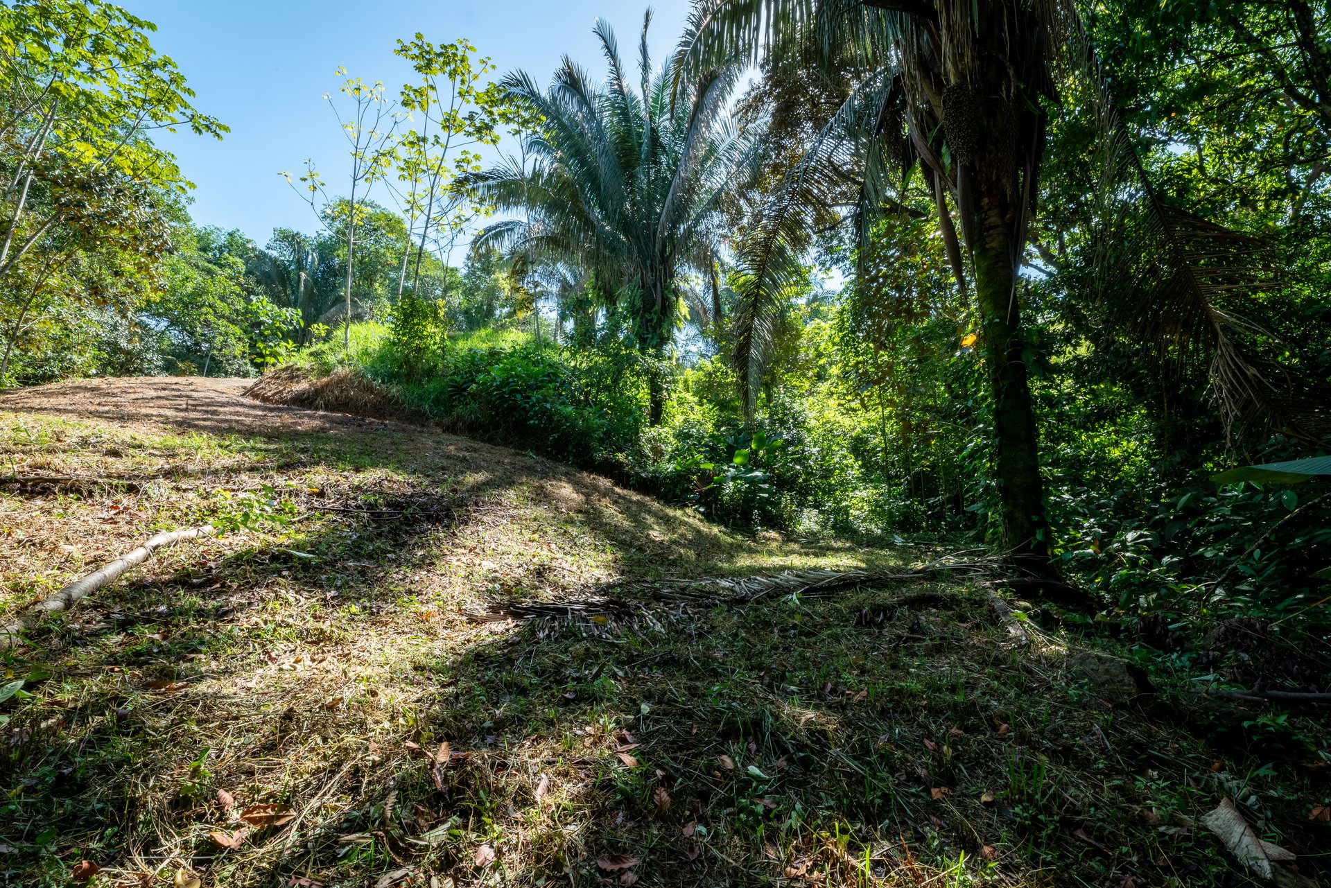 Surfers Paradise! Two Usable Lots for Building in Playa Hermosa Near Uvita!!