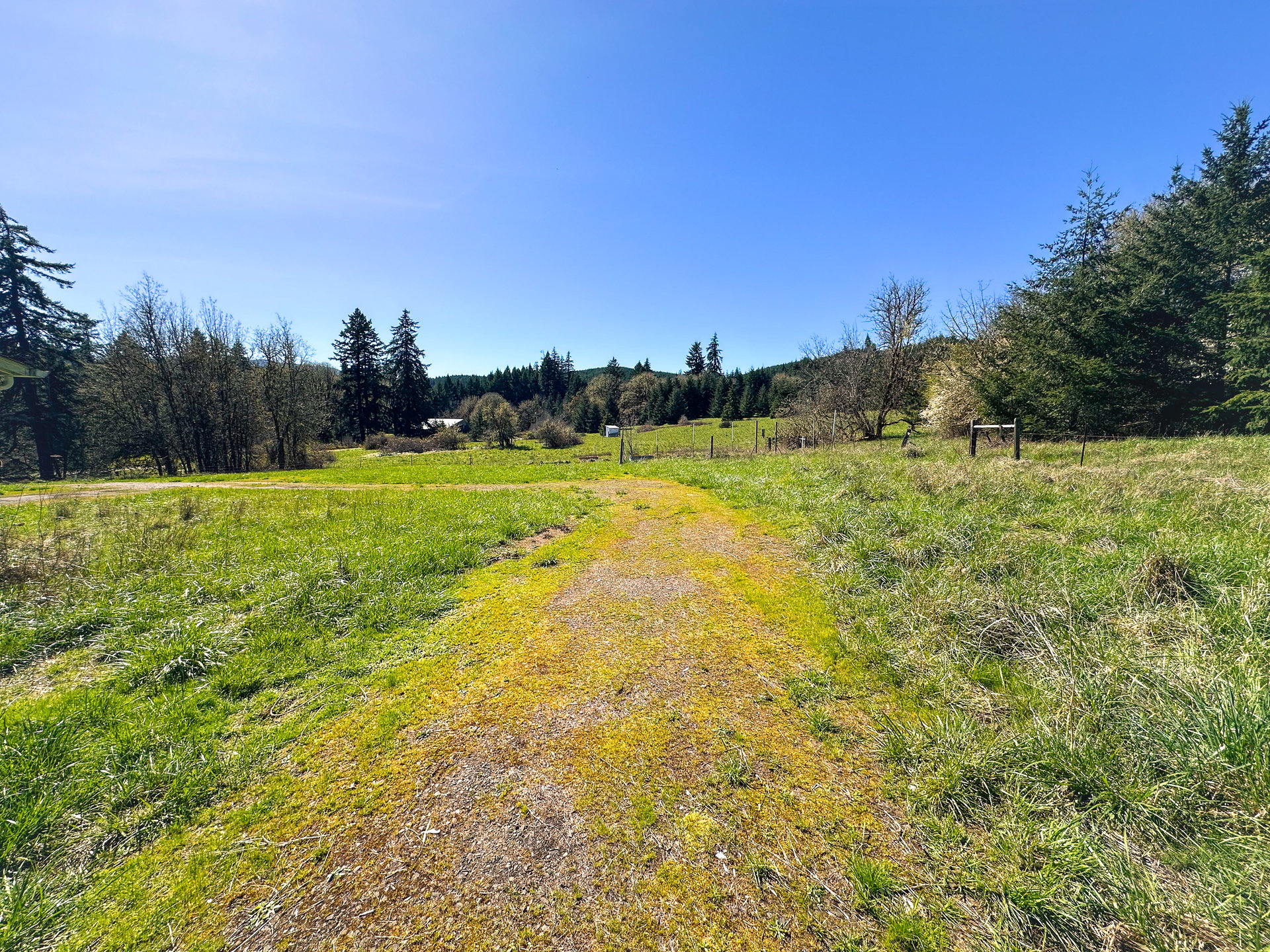 HARRIS FARM & FOREST