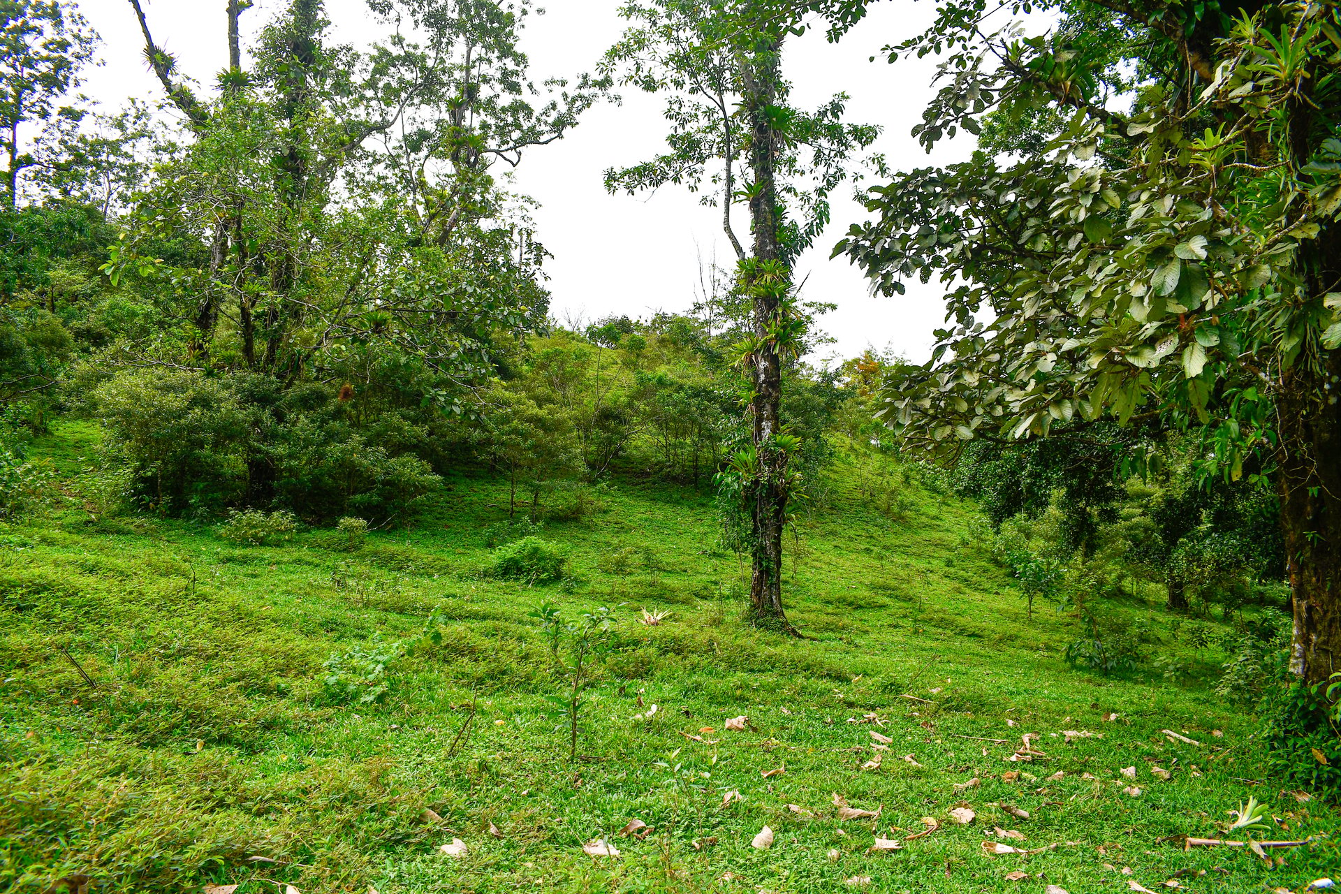 Finca Altamira | Boasting breathtaking panoramic views of the majestic Miravalles Volcano!