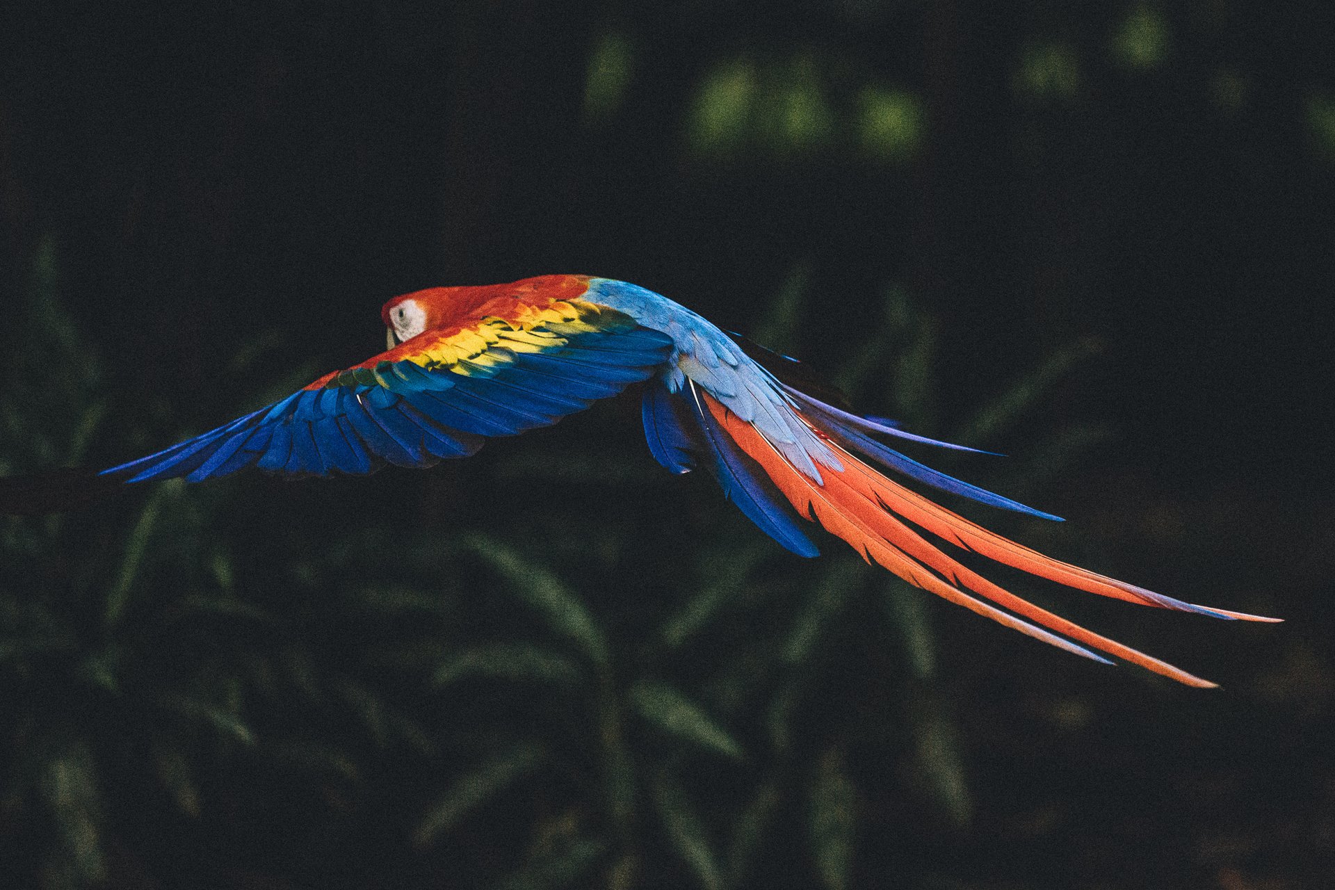  Punta Sabana & Mar Serena: Own the Last Great Coastline in Costa Rica!