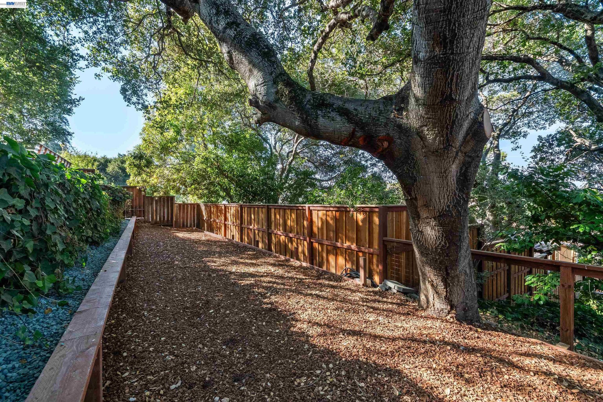 Shaded side yard with a broad mature tree, gravel ground cover, and wooden fencing.