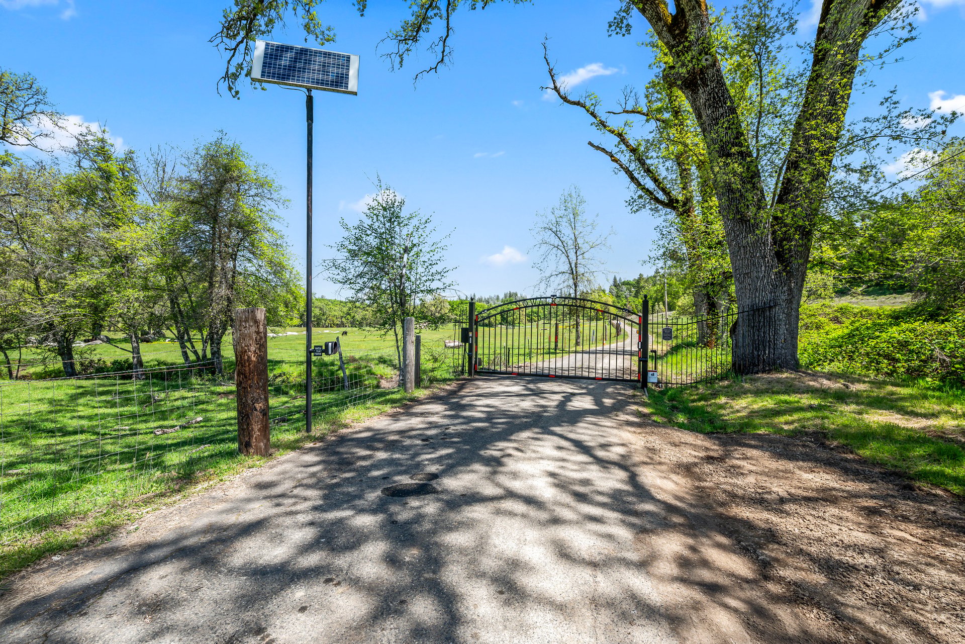 2405 No Walk Rd, Placerville
