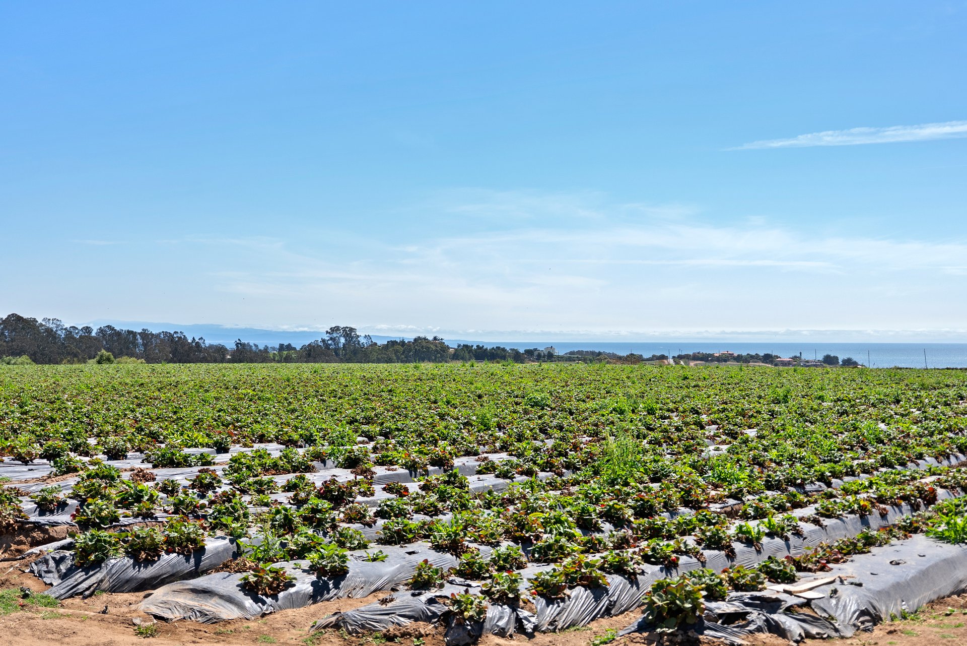 145 Coy Dr, La Selva Beach