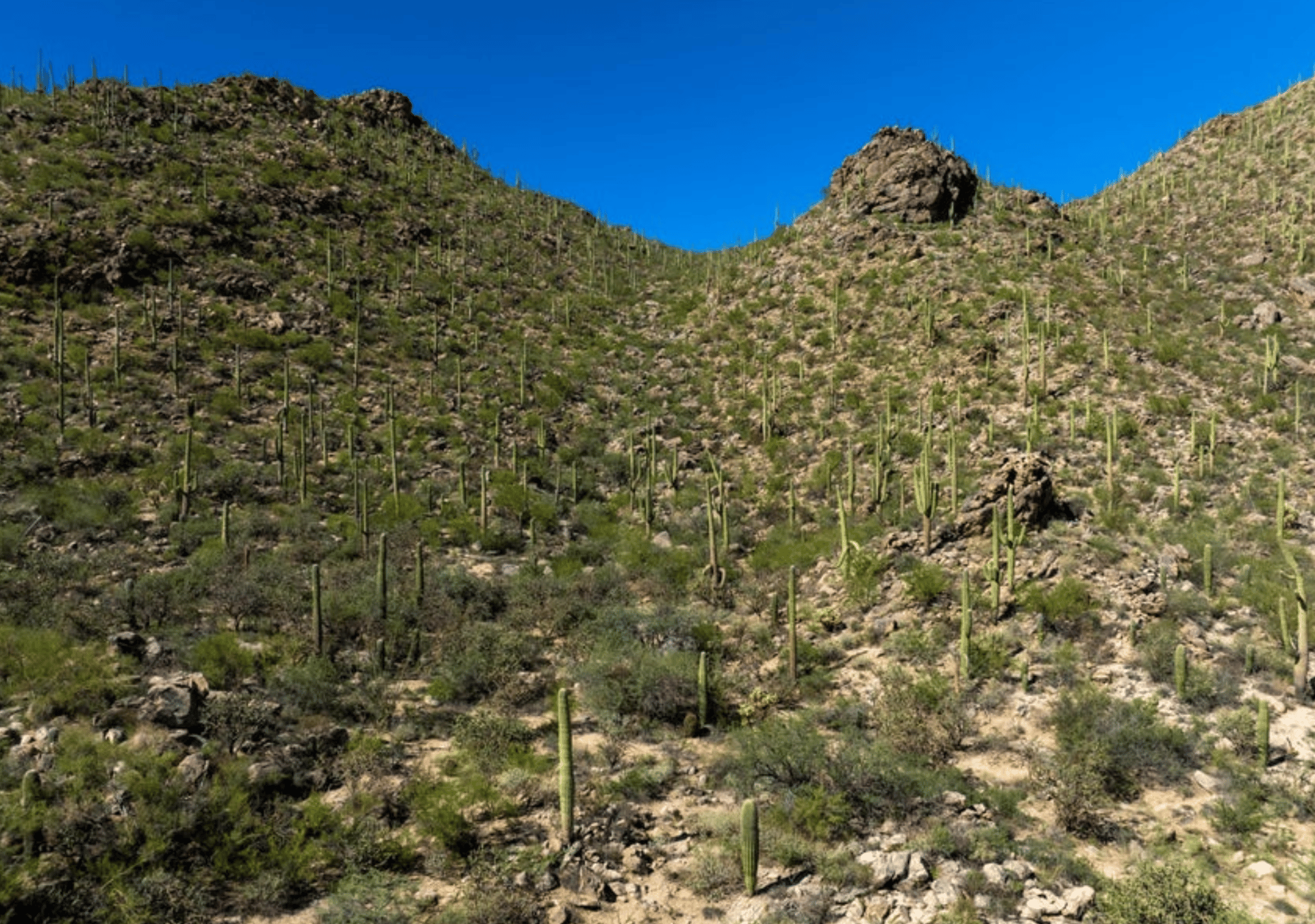 Hacienda - Lot #2 - 14474 N. Old Ranch House Road