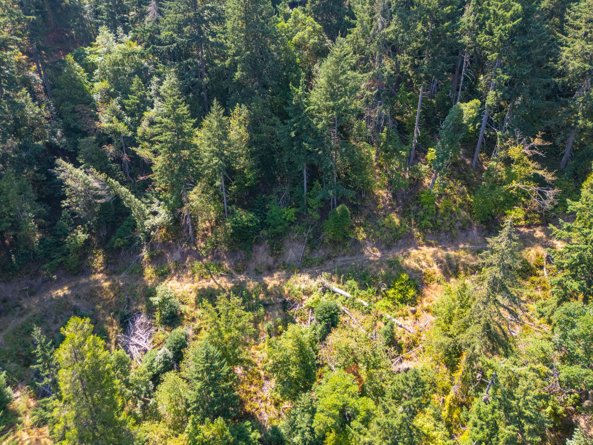 STRICKLAND BOULDER FOREST