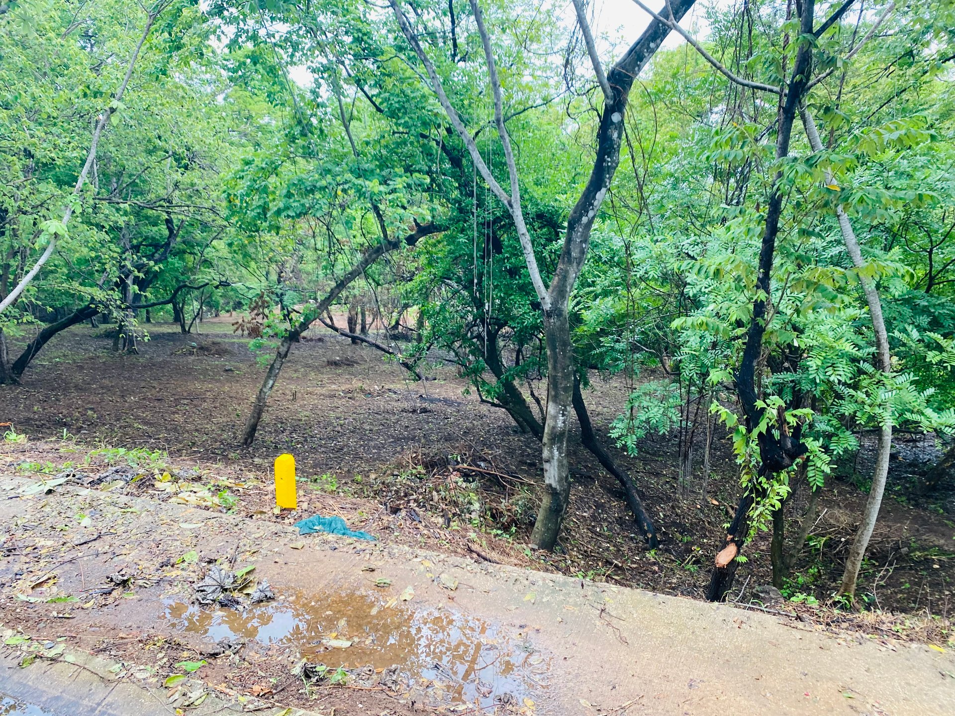 Valle Escondido