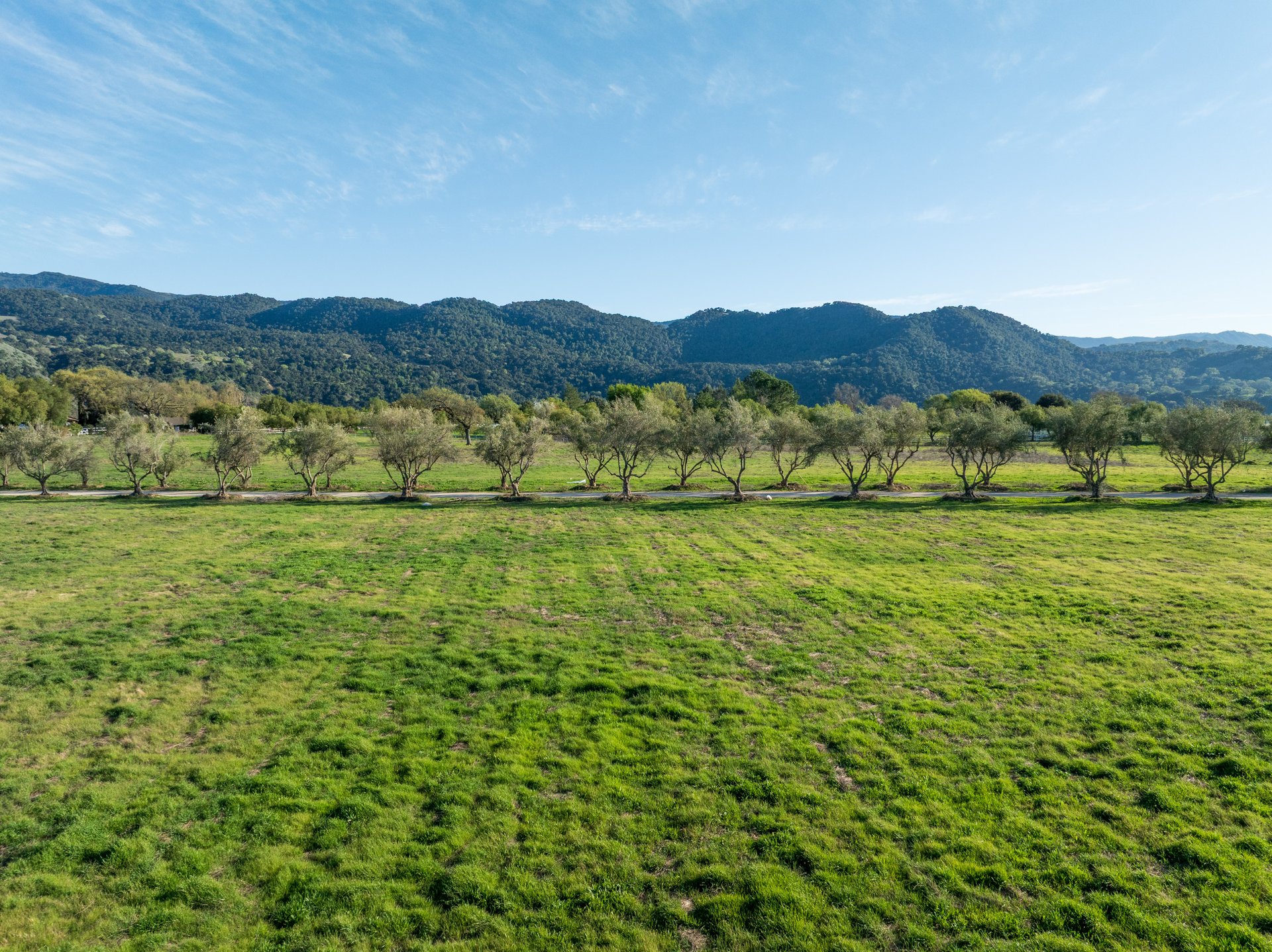 Build your dream in Meadowlark Ranch