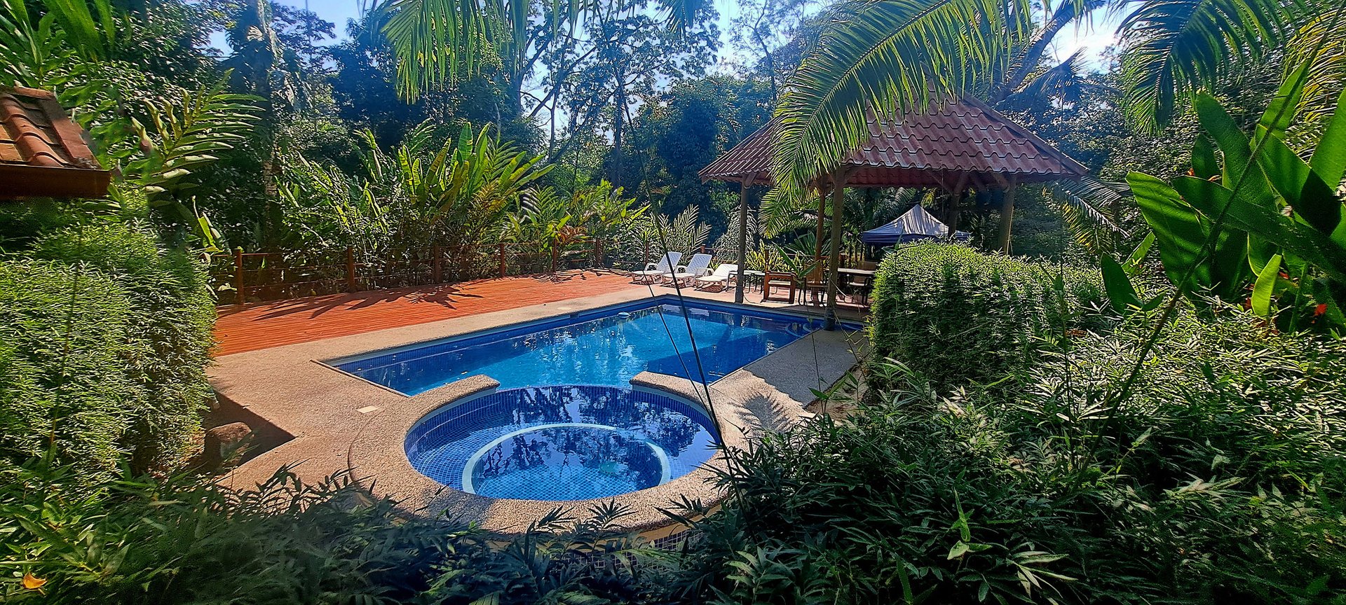 8 Cabinas with Swimming Pool on Lush Jungle Property | Uvita