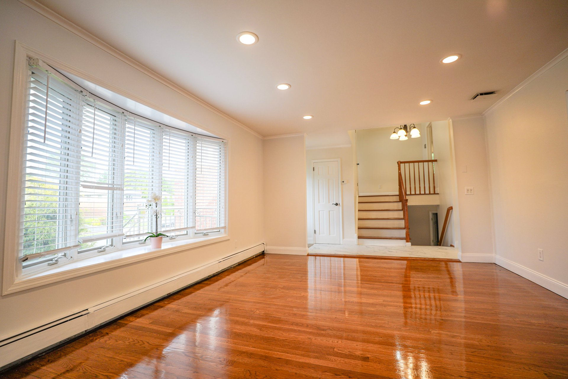 62 Stuart Drive