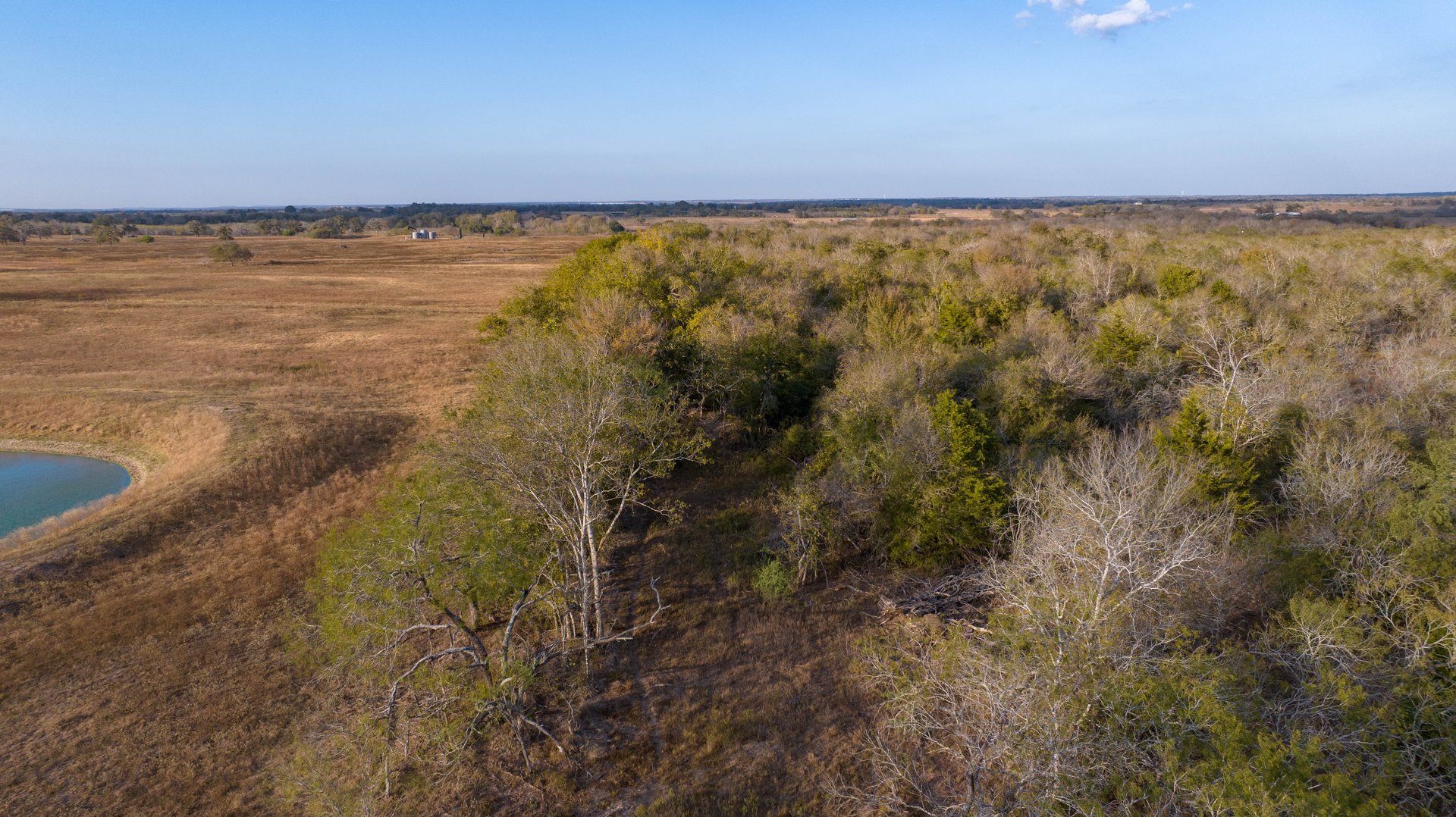Gonzales County | 104+/- Acres