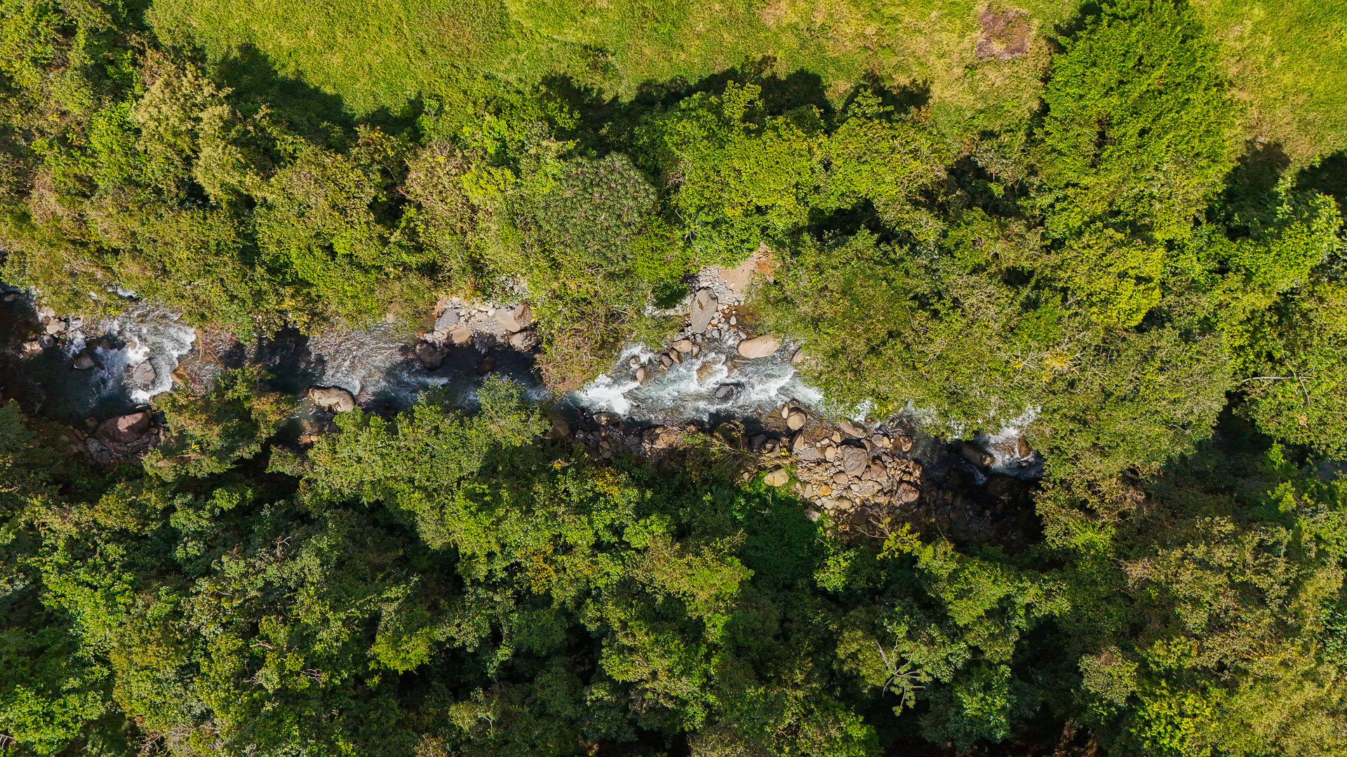 Costa Rica Mountain Retreat – 1.8 ha with Luxury Cabin, Private Lake & Riverfront