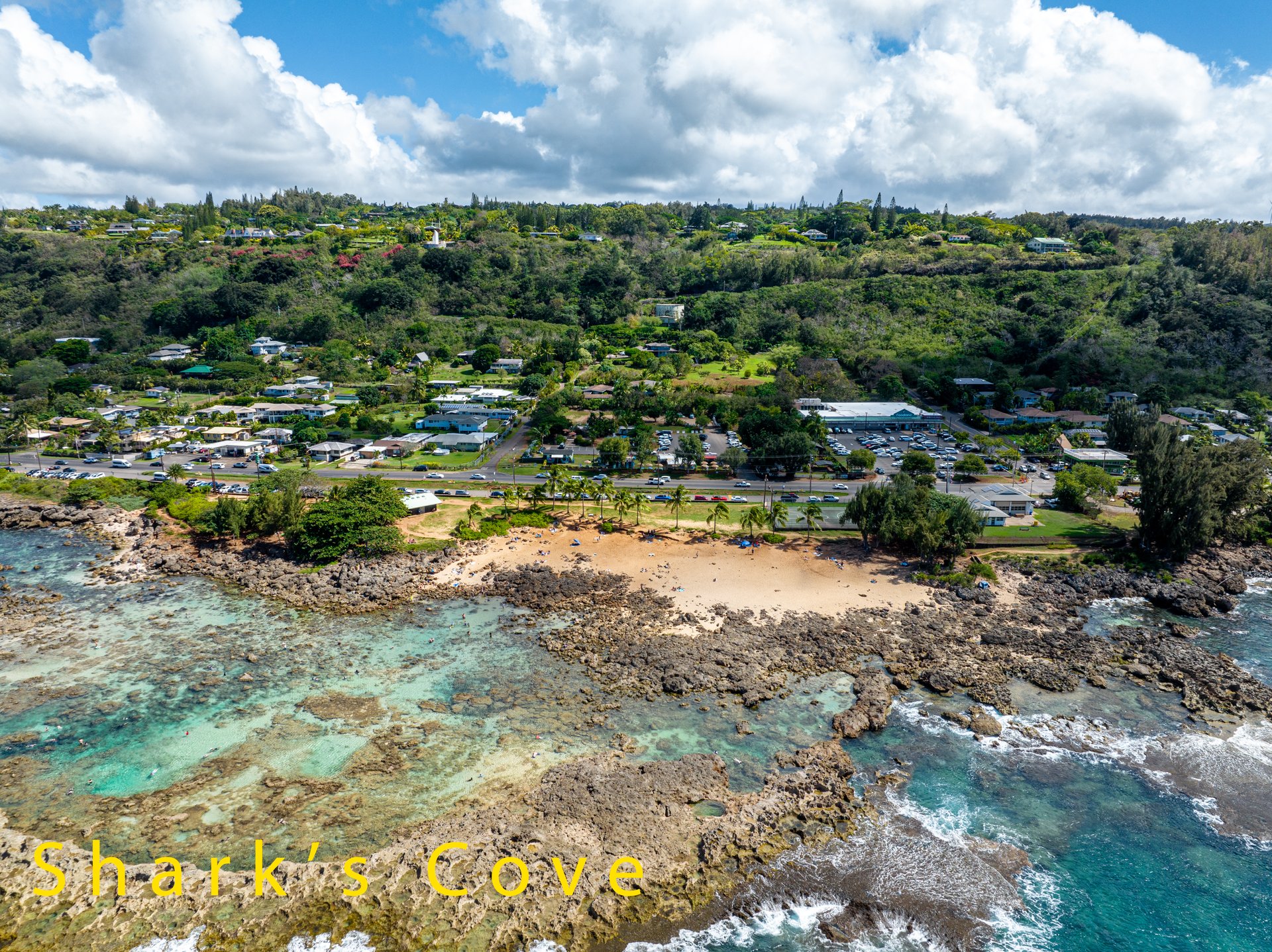 Turtle Bay 1 Bedroom with Loft SLEEPS 4-6