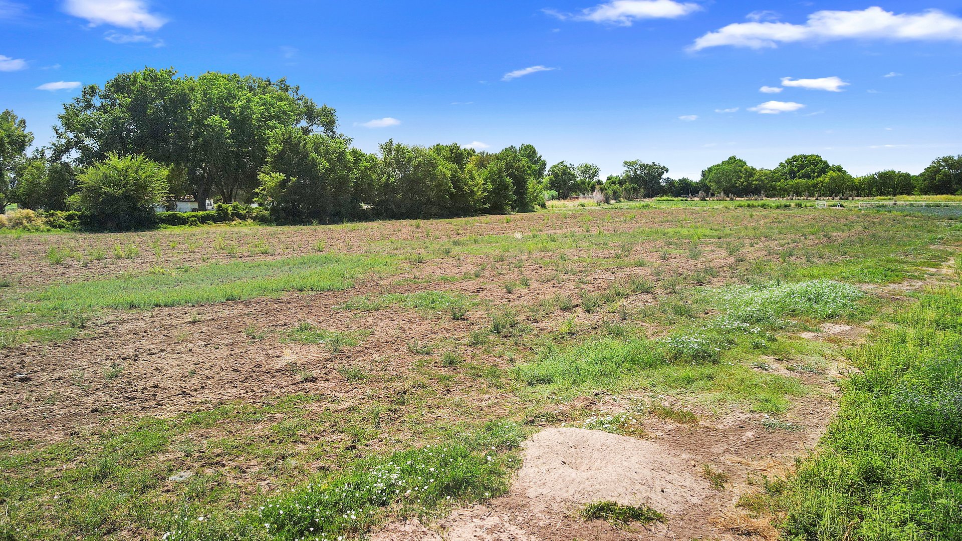 Pre 1907 Water Rights Farm Property
