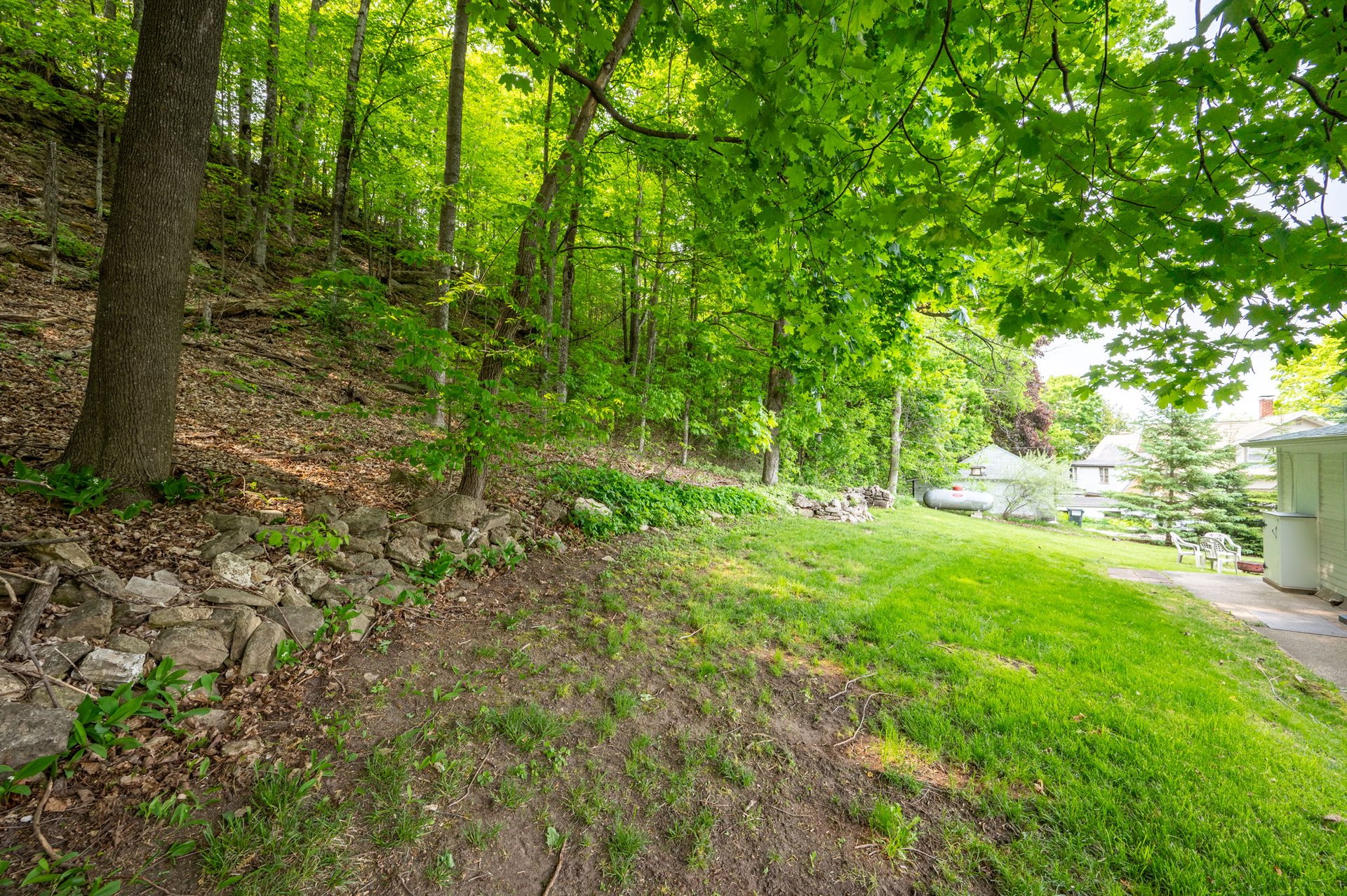 10647 Bluffside Ln