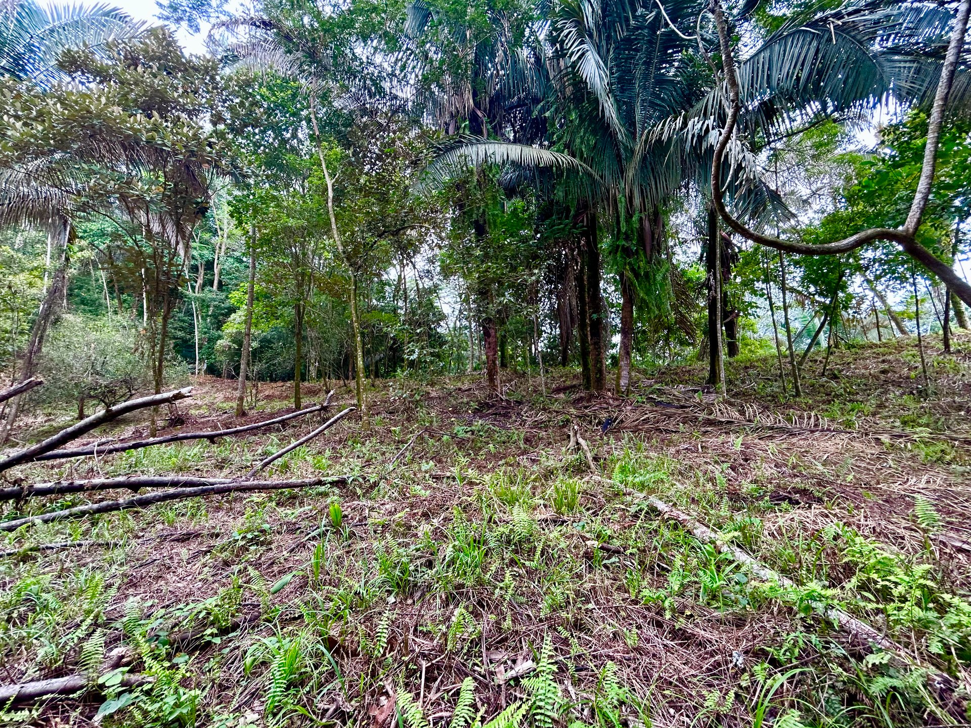 Over 1.4 Acres in Playa Hermosa – Just 5 Minutes from the Beach!