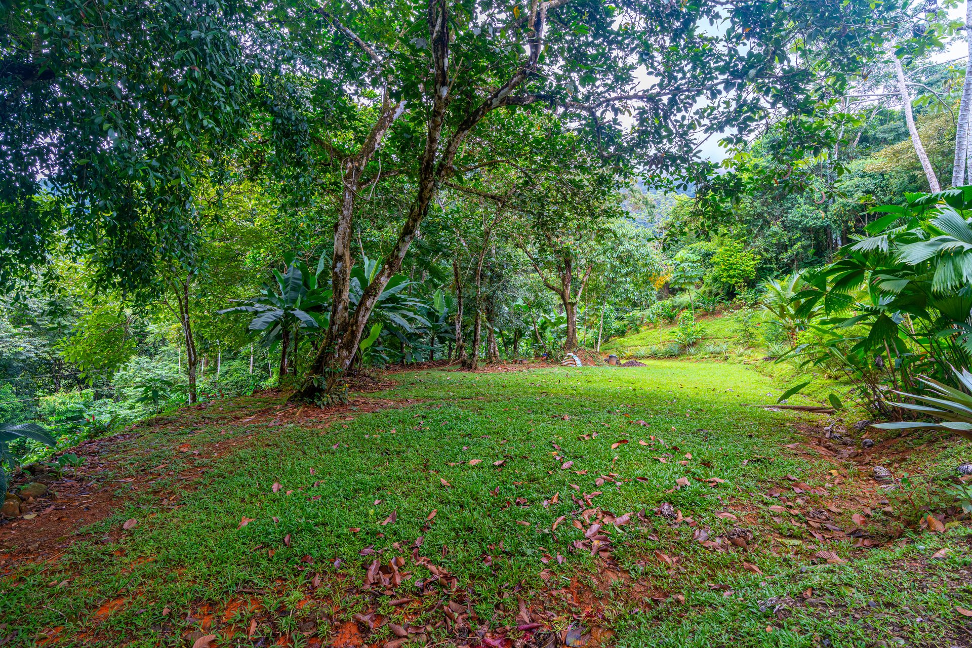 Cascada Sandalo Jaw Dropping Ocean Views!