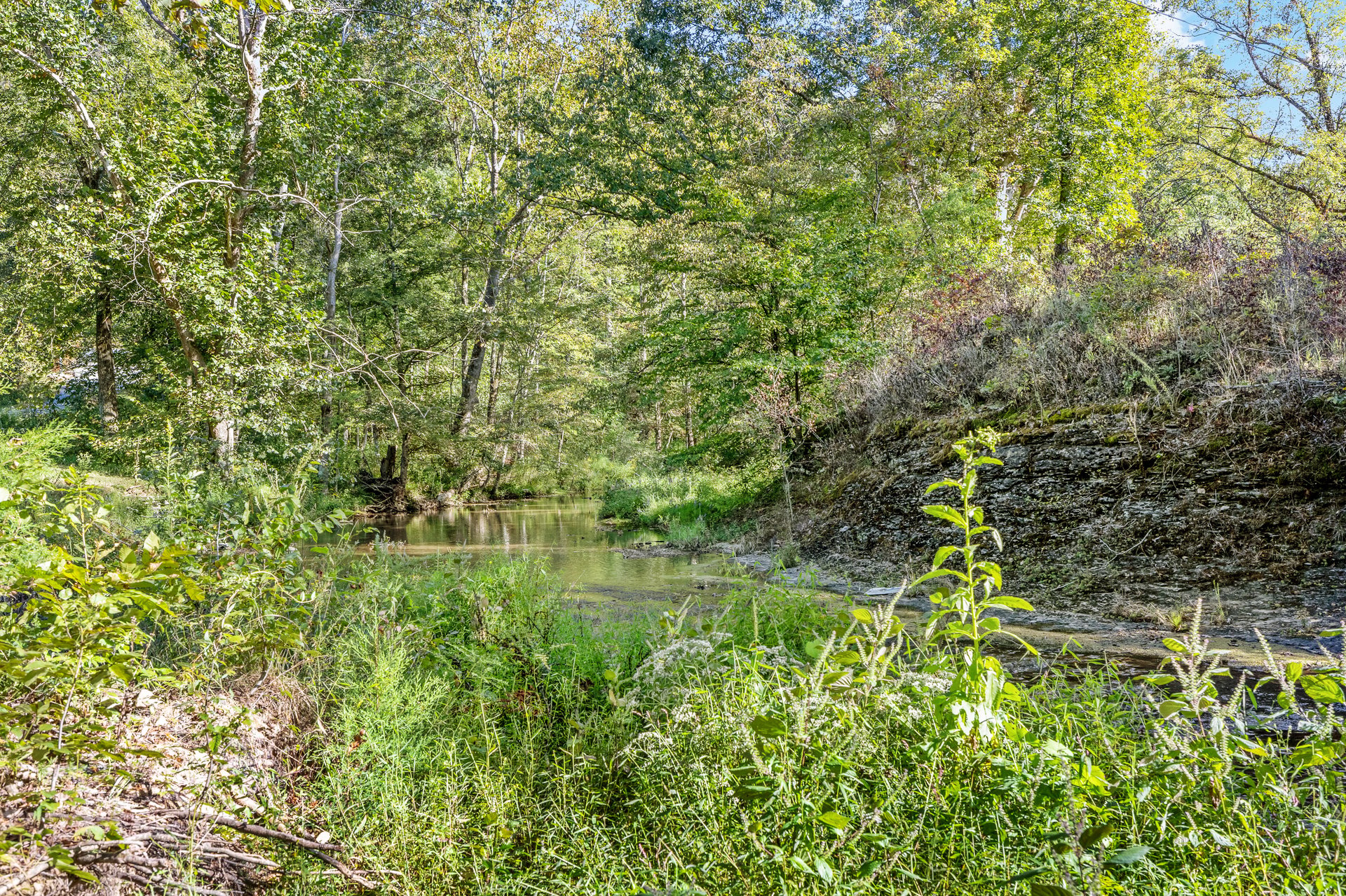 8192 Shoals Branch Road