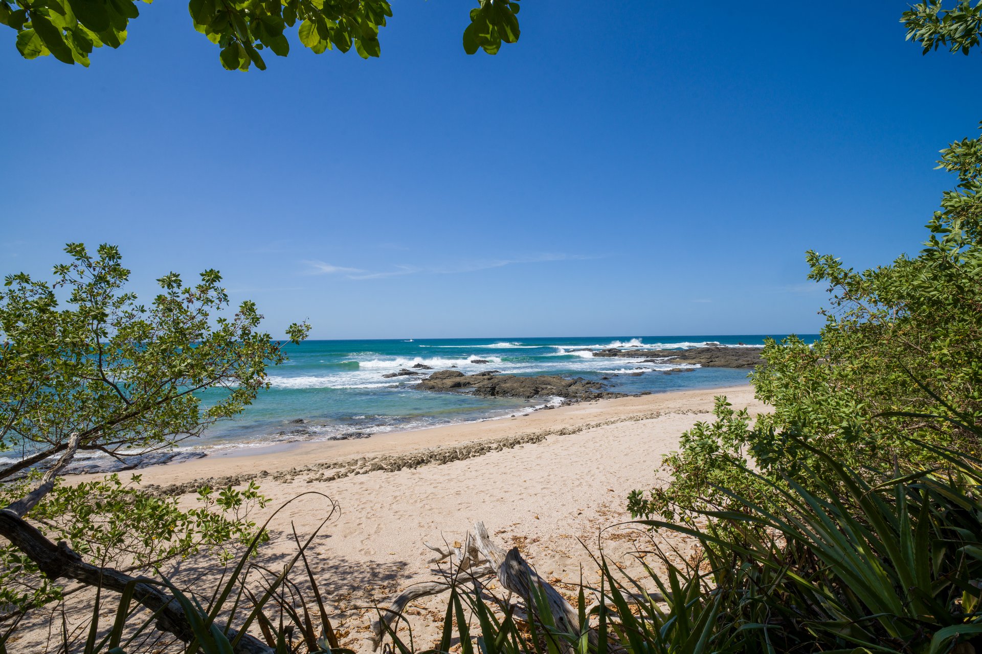 Villa Serena | Oceanfront Luxury in Playa Langosta