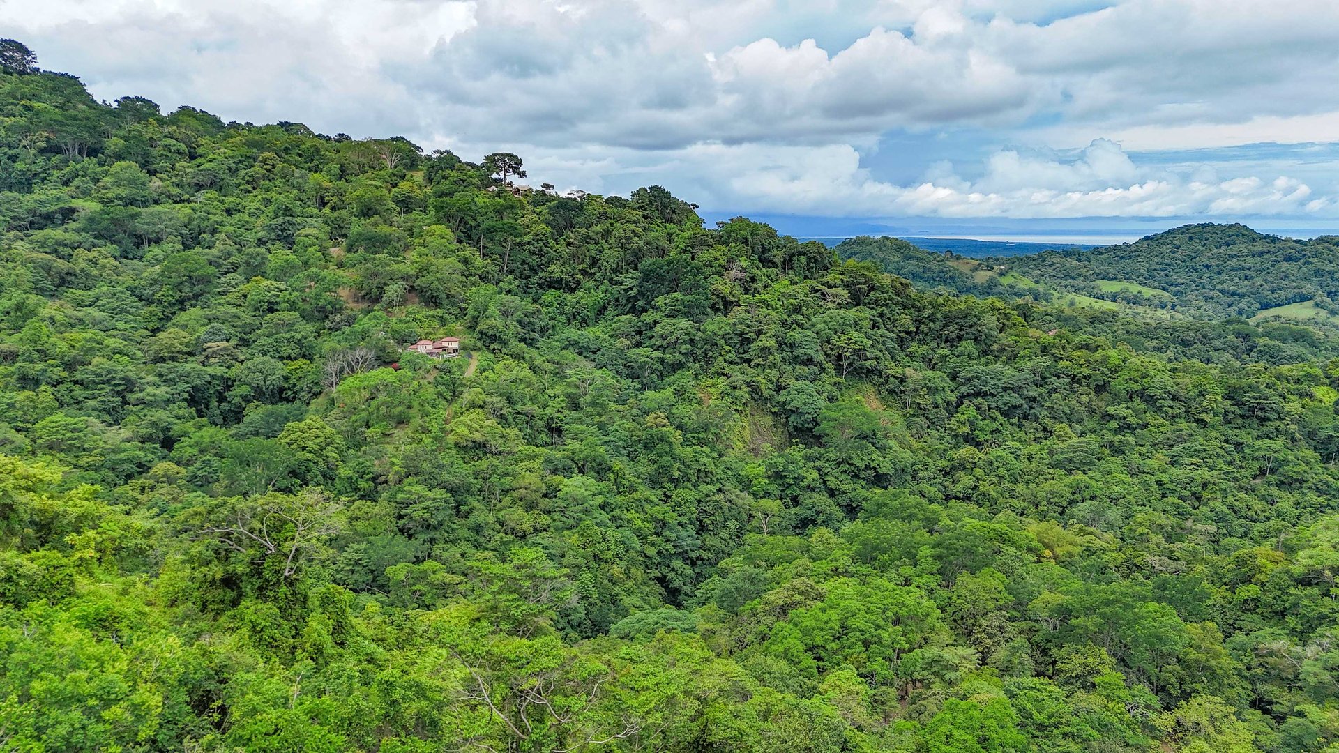 Multi-Home Luxury Estate, With Jungle, Mountain And Ocean Views, Private Waterfalls And Orchards On 71 Acres In Gated Community!