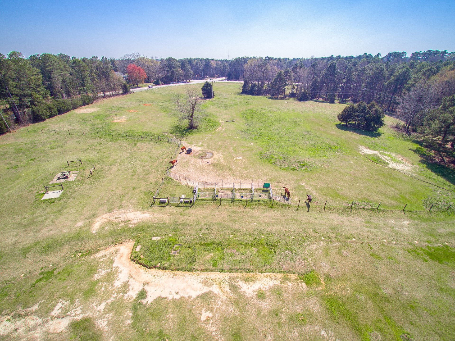 Watson Farms