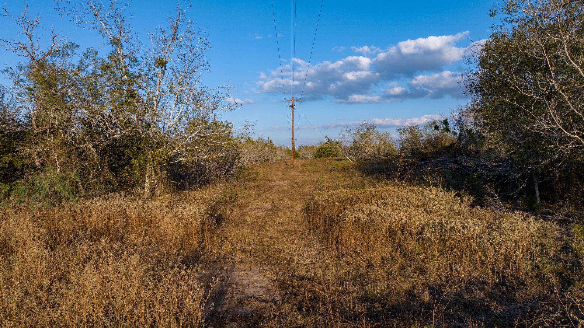 Gonzales County | 104+/- Acres