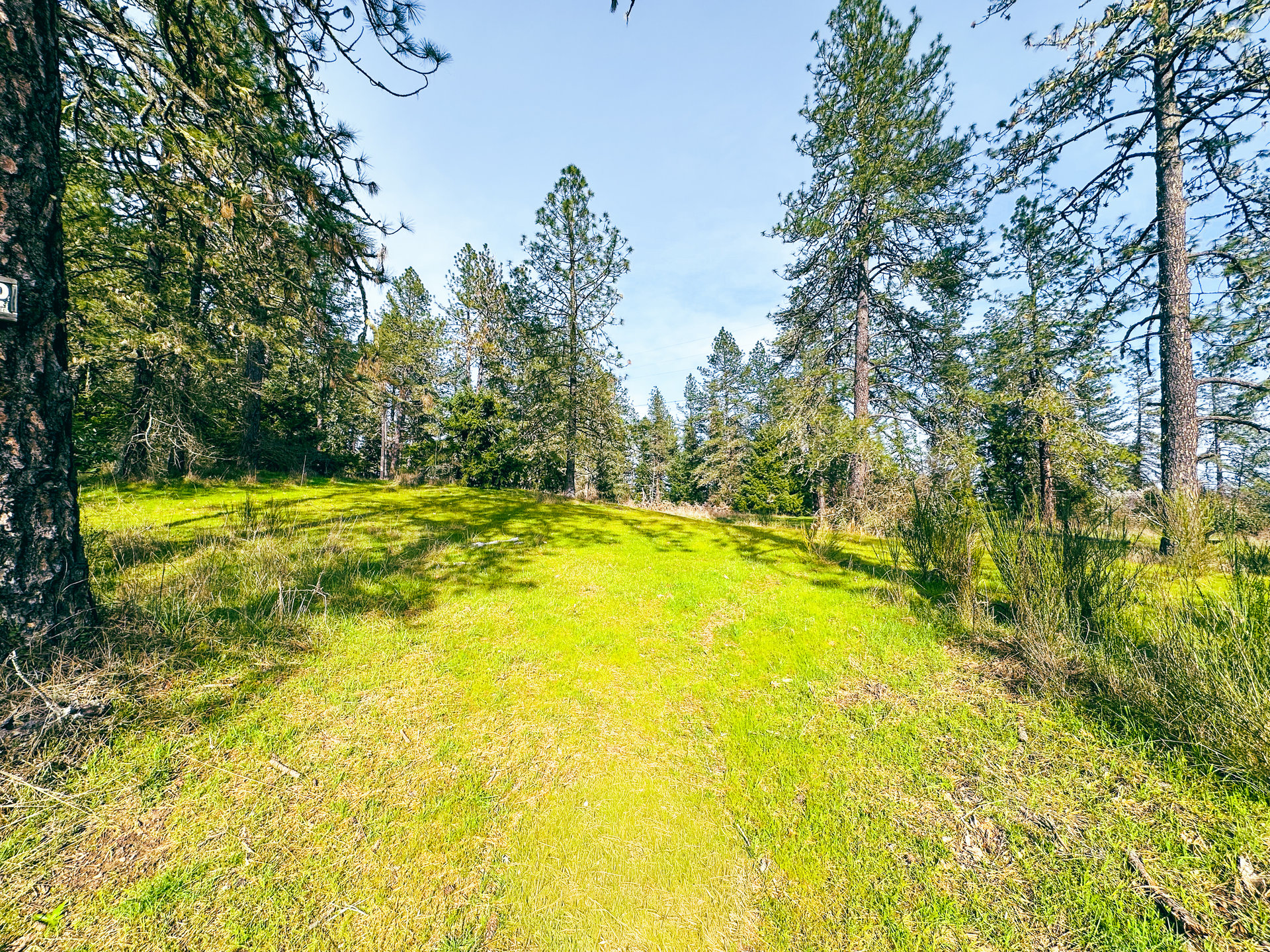 SUTHERLIN WOODLOTS