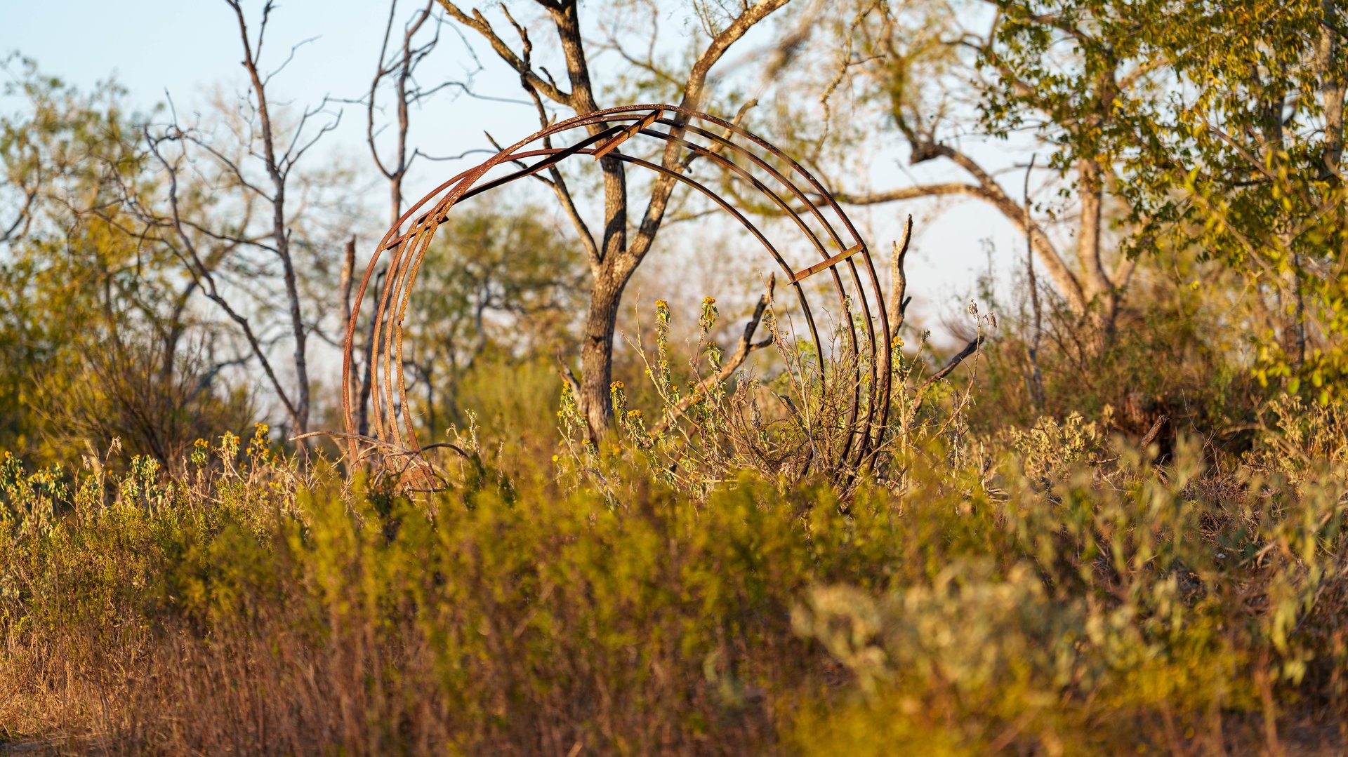 Gonzales County | 104+/- Acres