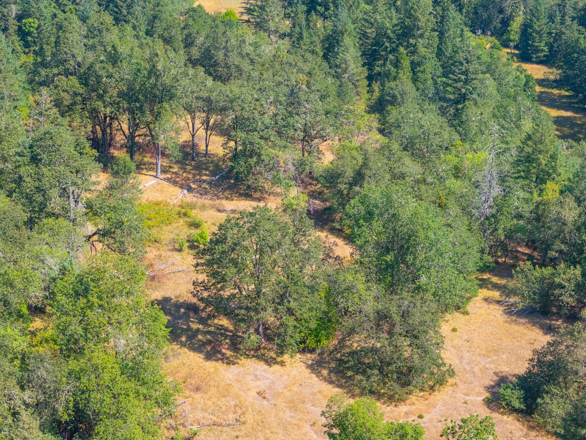 WAGON ROAD HOMESTEAD