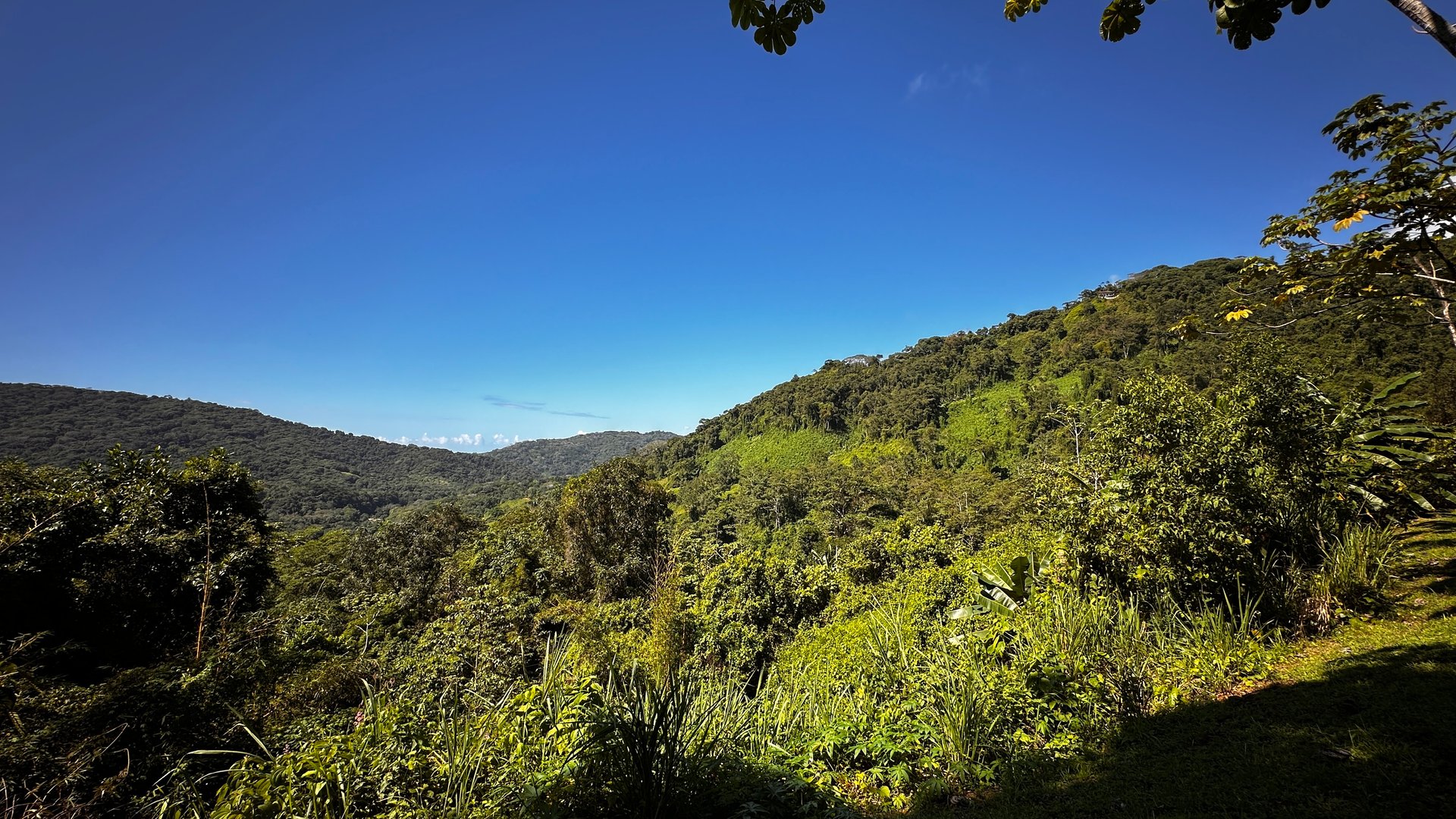 Ready To Build Lot Minutes From the Beach Dominical!