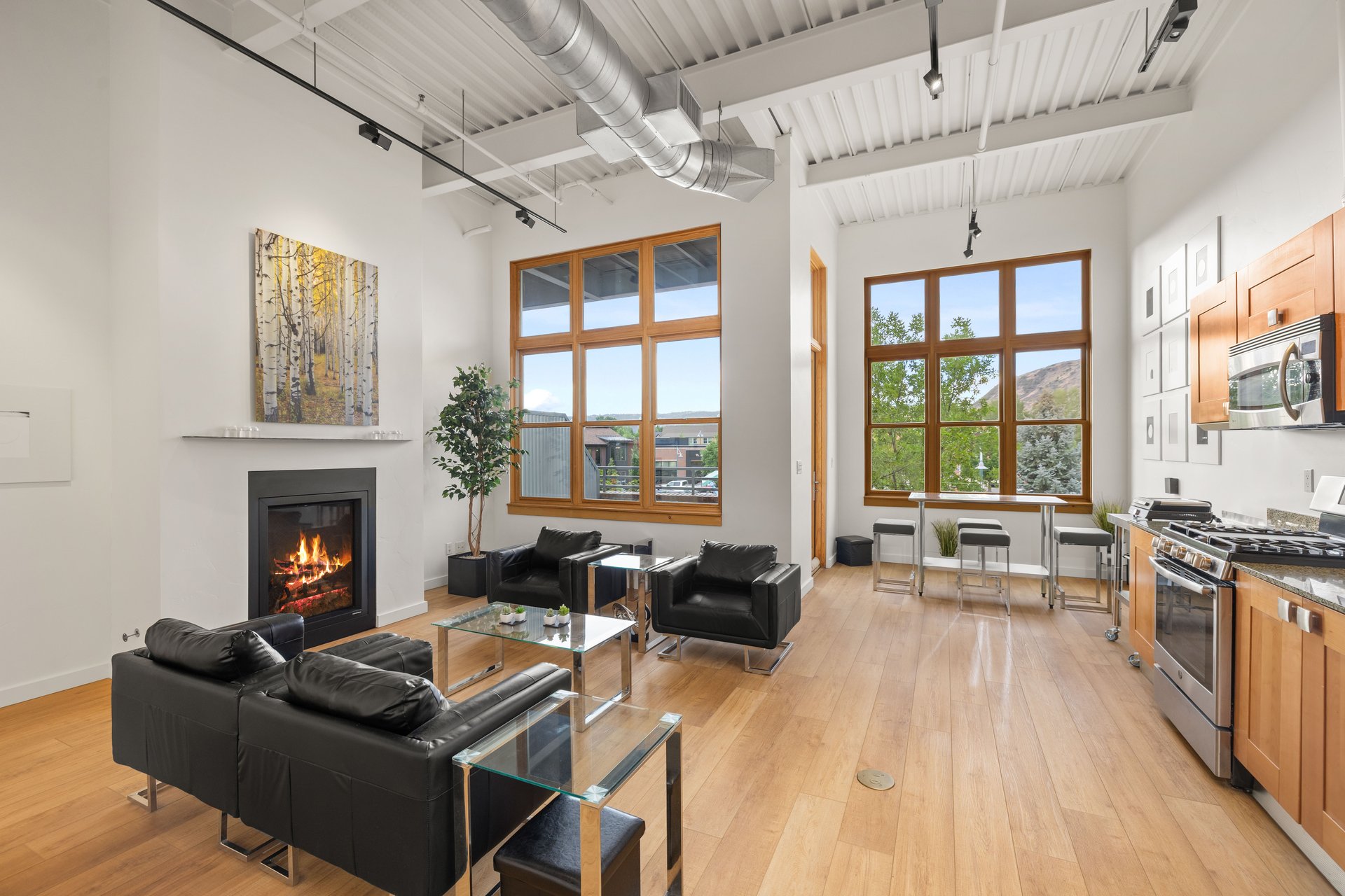 Triangle Lofts Gem