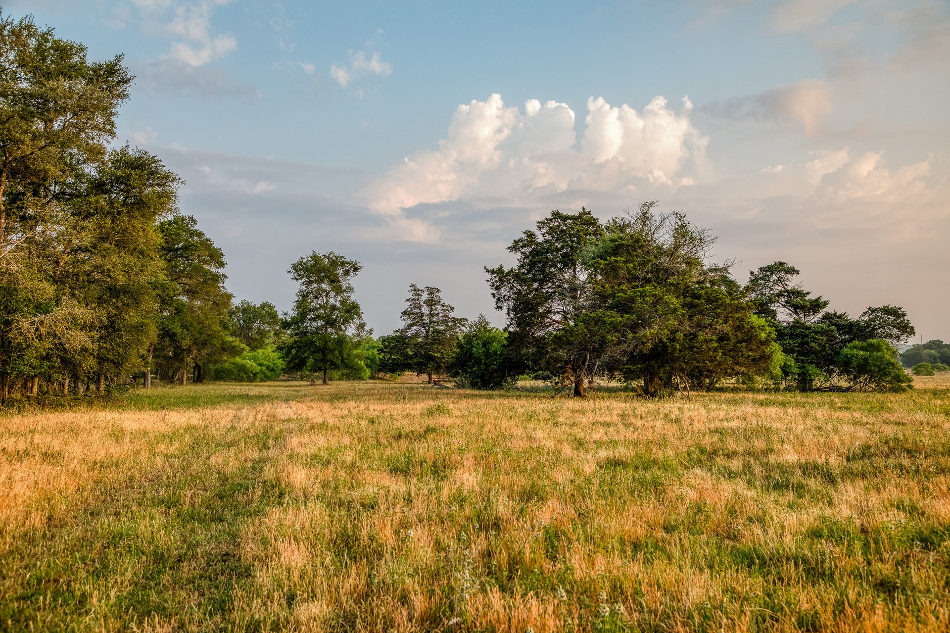 Revival Ranch TX