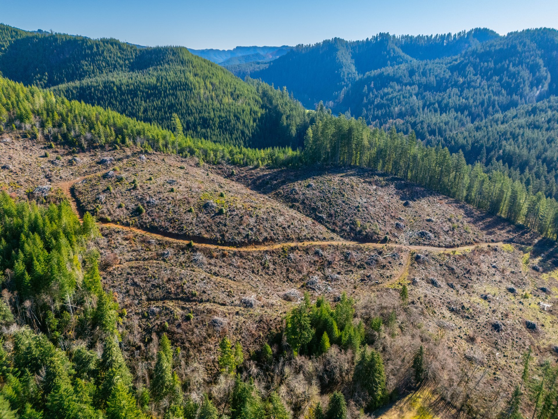 RICHARDSON TIMBER