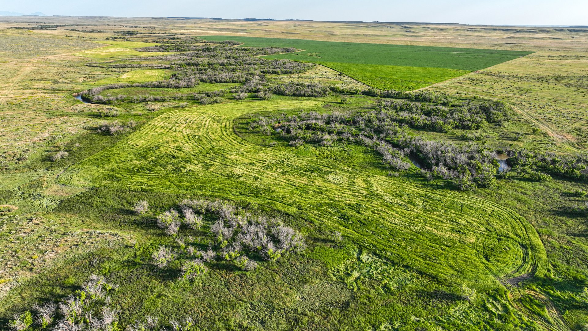 Covey Rise Ranch
