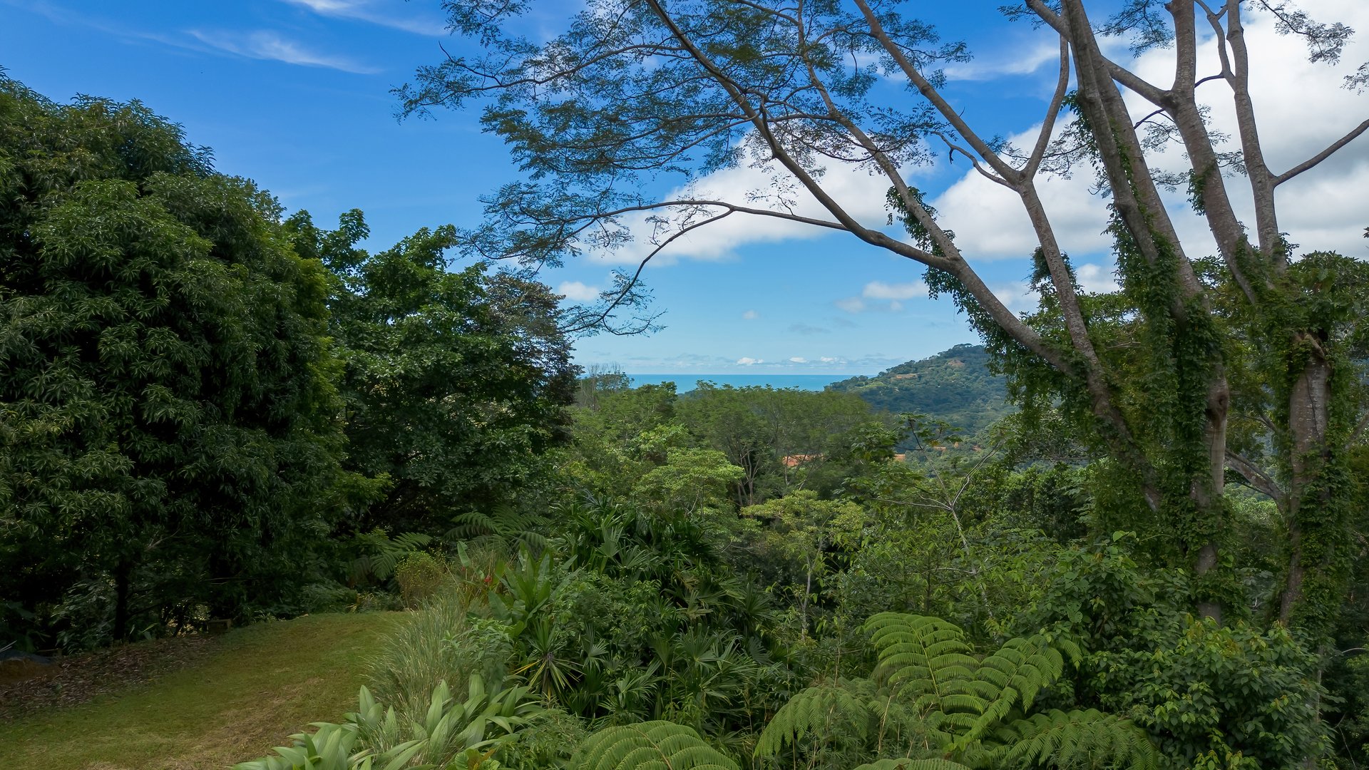 Build-Ready Ocean View Land with Guest House & Fruit Orchard | Tres Rios, Costa Rica