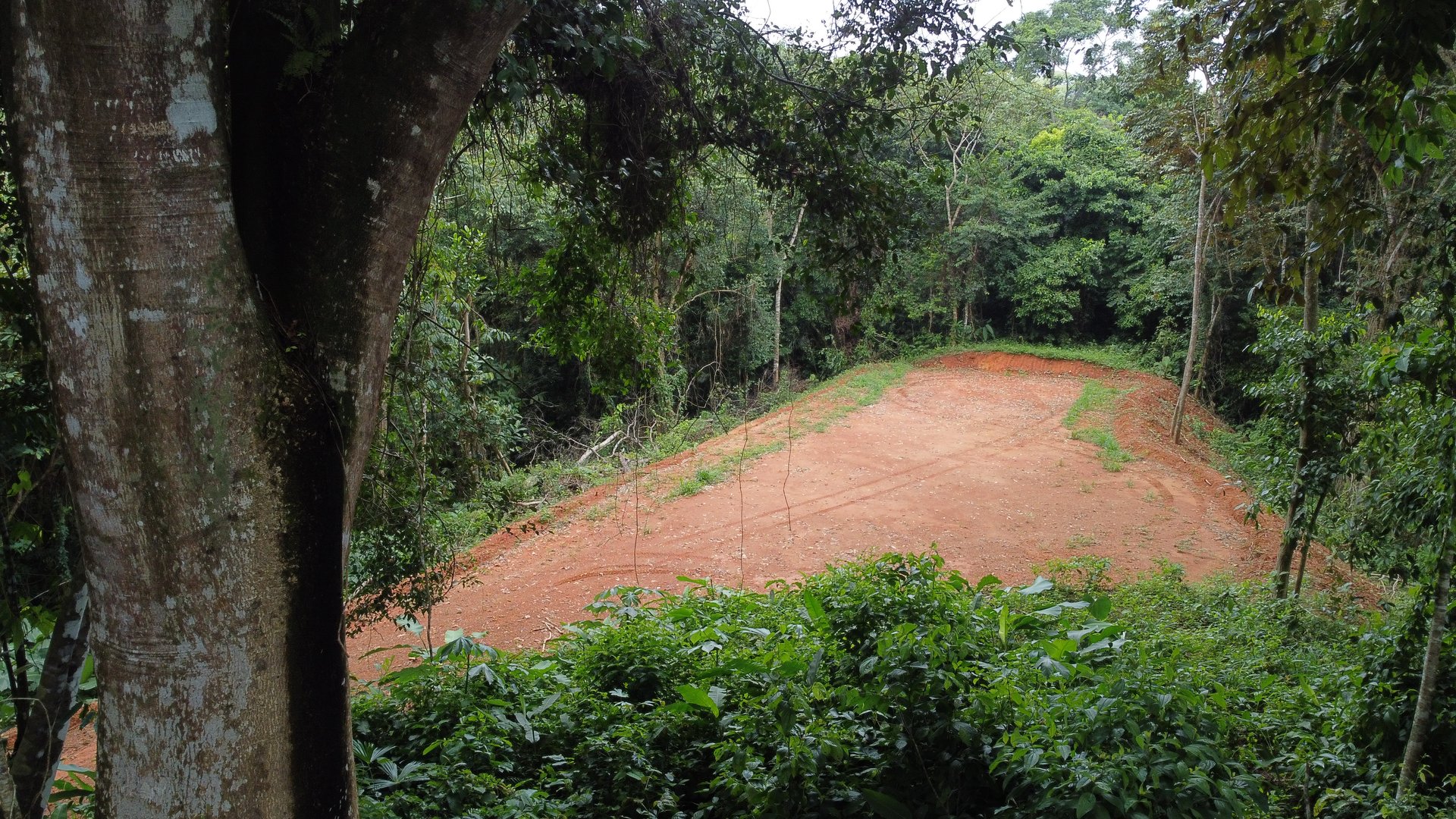 Jungle Oasis with River Frontage Near Dominical – 5.2 Acres of Pure Nature