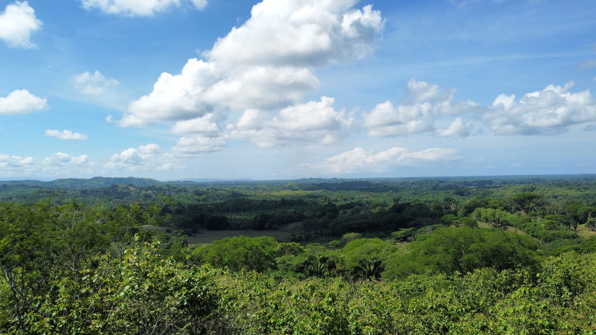 7-Hectare Farm with Teak Plantation, Existing Home & Eco-Development Potential Near Parrita, Costa Rica