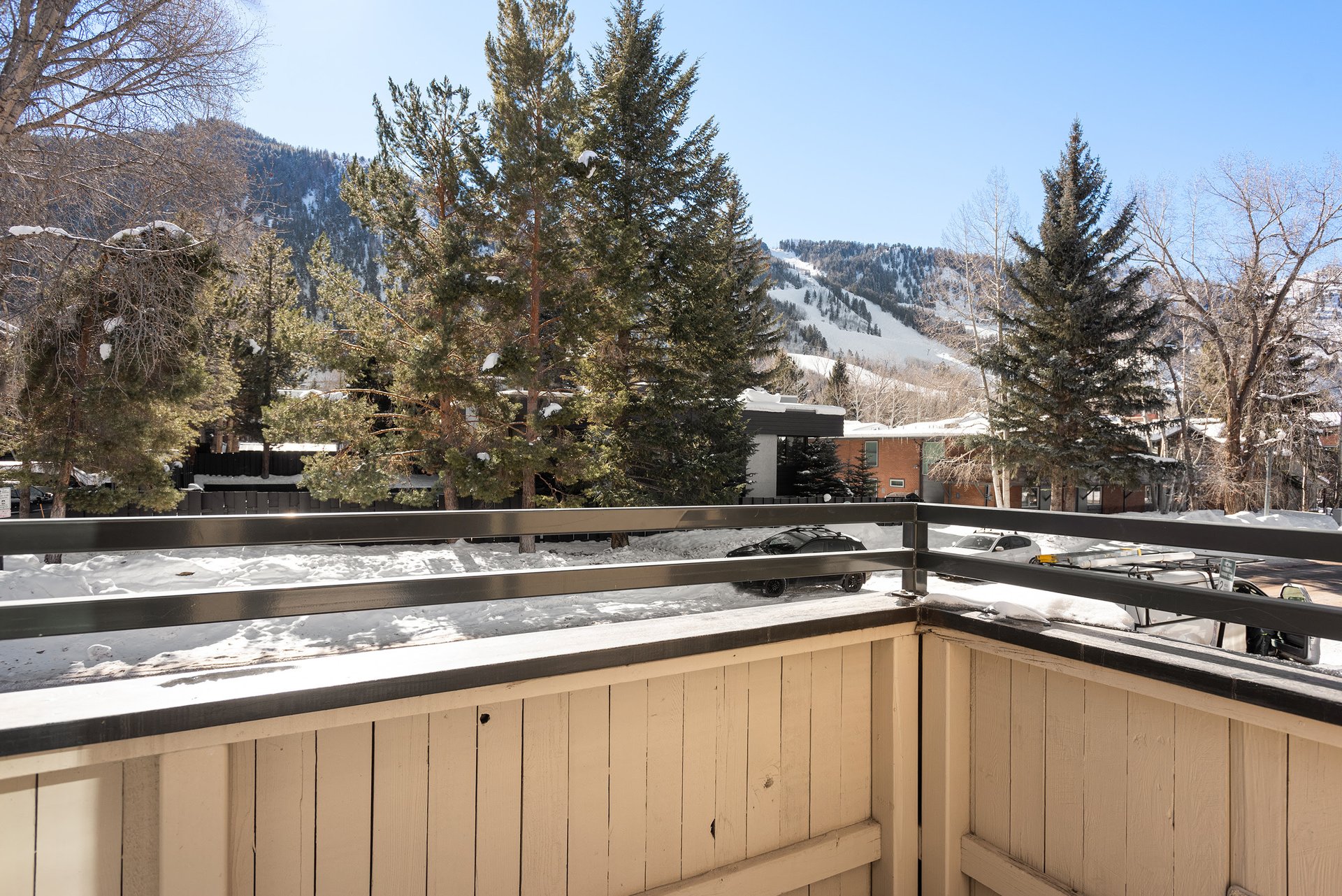 Stunning Townhome in the Heart of Downtown