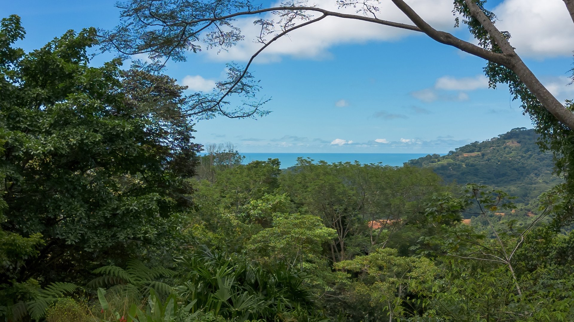Build-Ready Ocean View Land with Guest House & Fruit Orchard | Tres Rios, Costa Rica