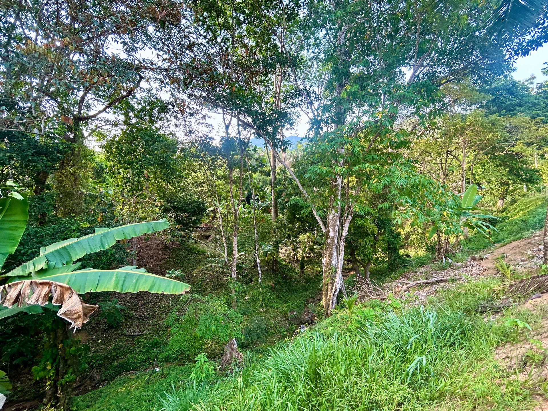 Prime Ready-to-Build Lot in Playa Hermosa with Included 3D Home Design