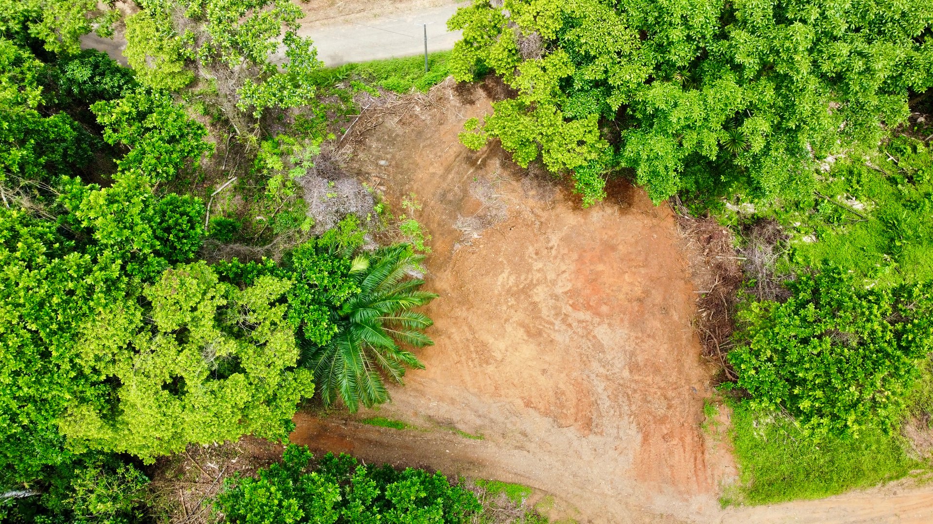Ready-to-Build Land in San Antonio de Damas: 2,6-Acre with Terraces & Road Frontage