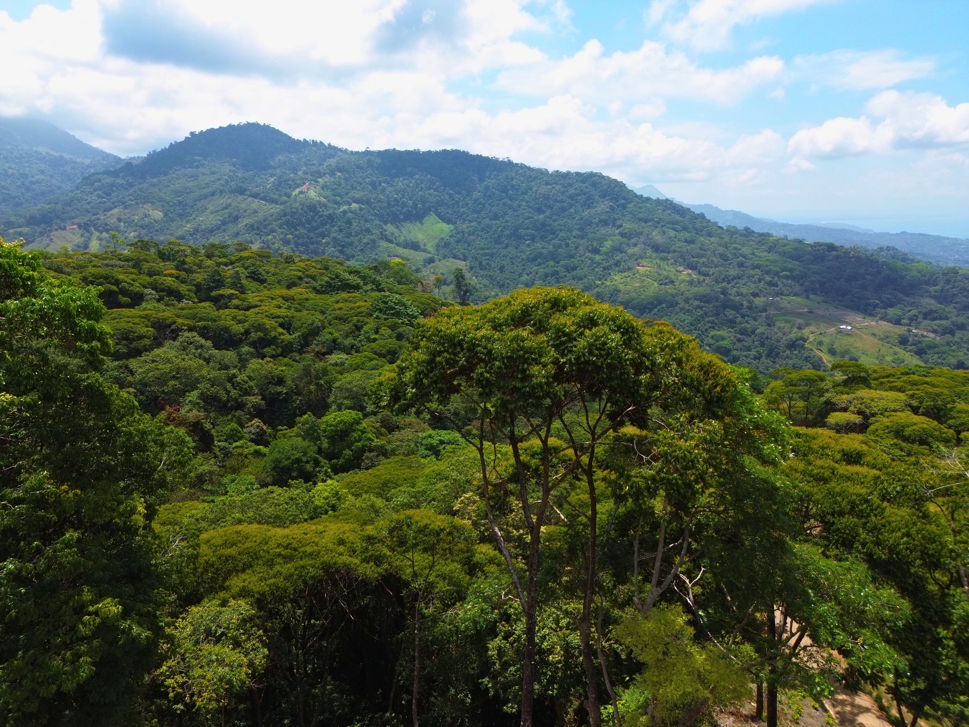 Ocean View Land for Sale in Uvita San Josecito with Whale Tail Views and Gated